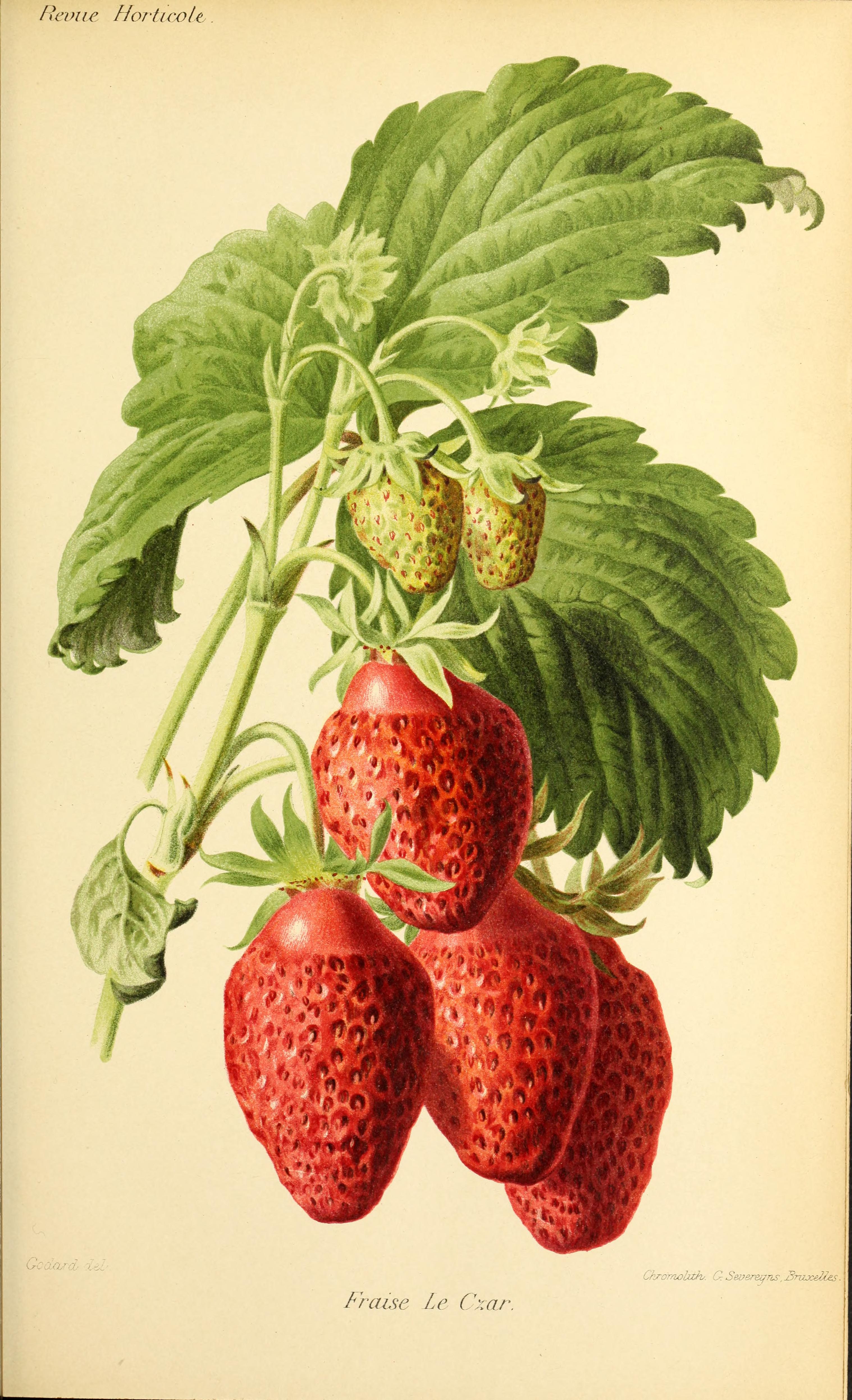 no full size  illustration available (3a)