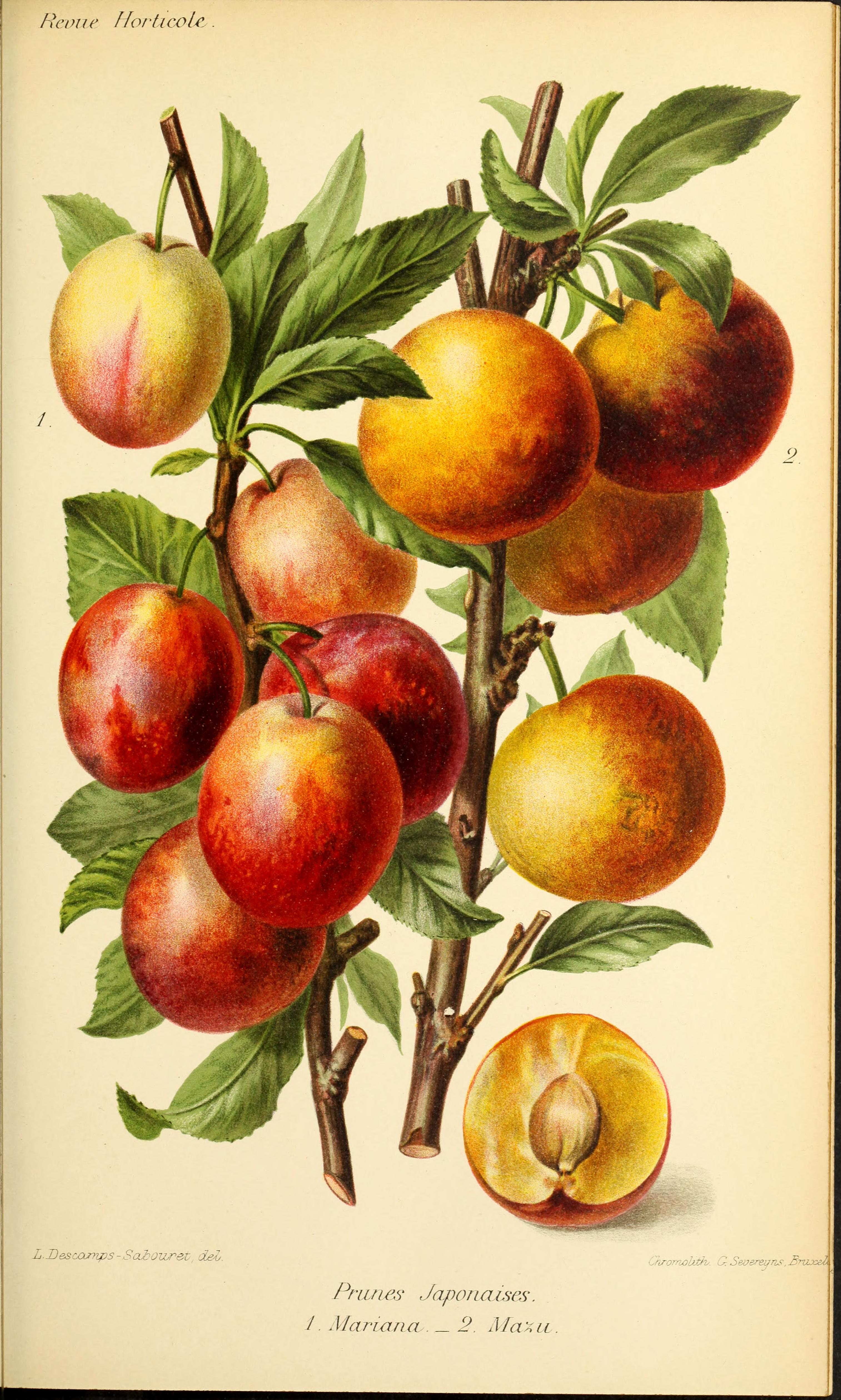 no full size  illustration available (3a)