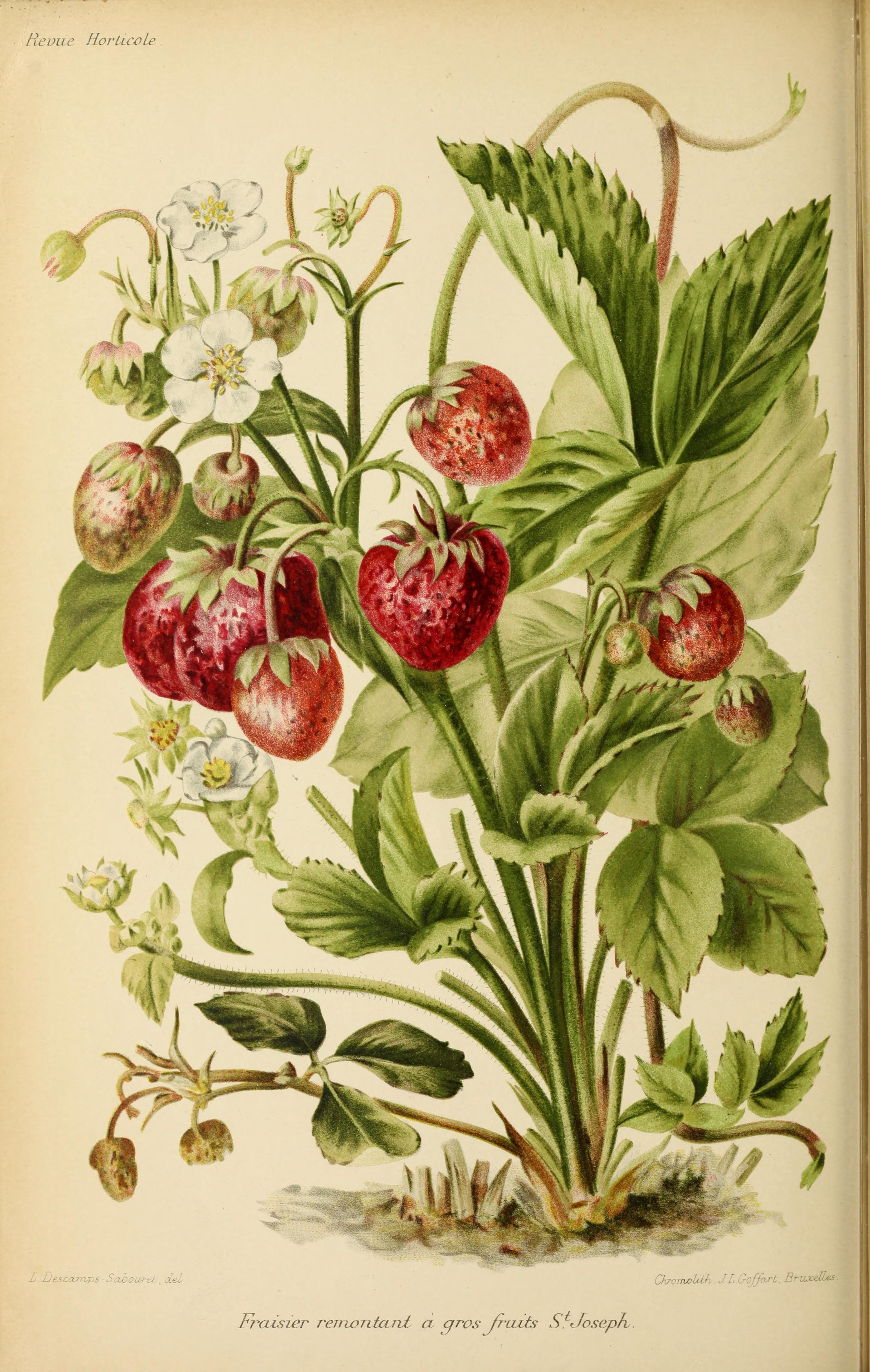 no full size  illustration available (3a)