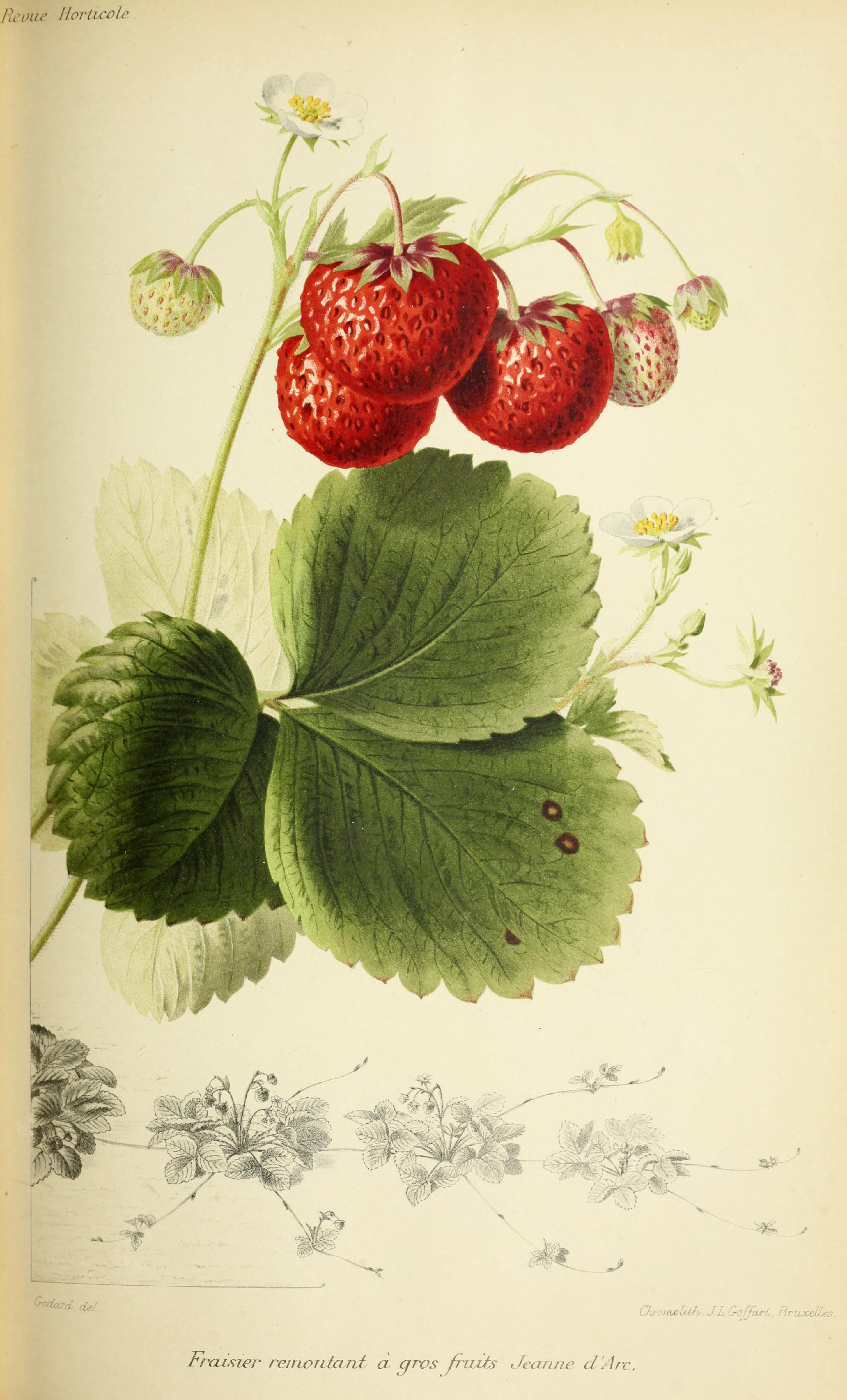 no full size  illustration available (3a)