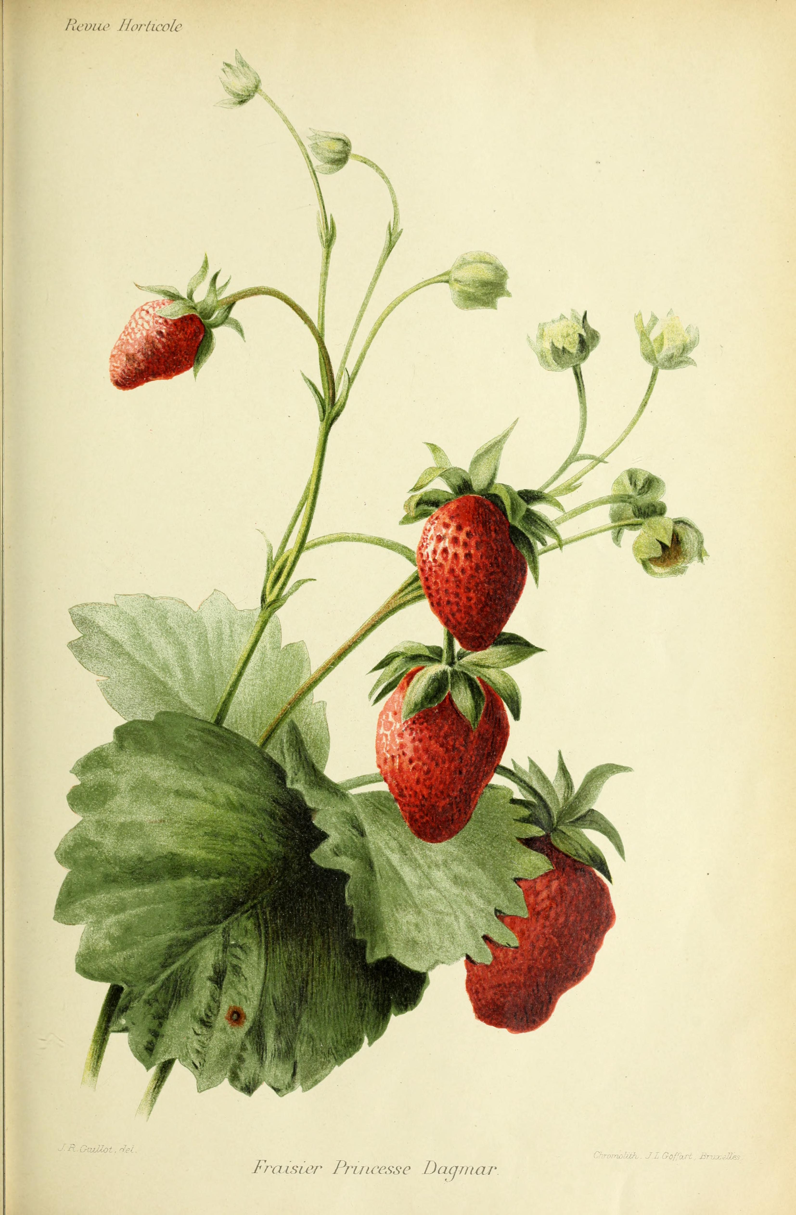 no full size  illustration available (3a)