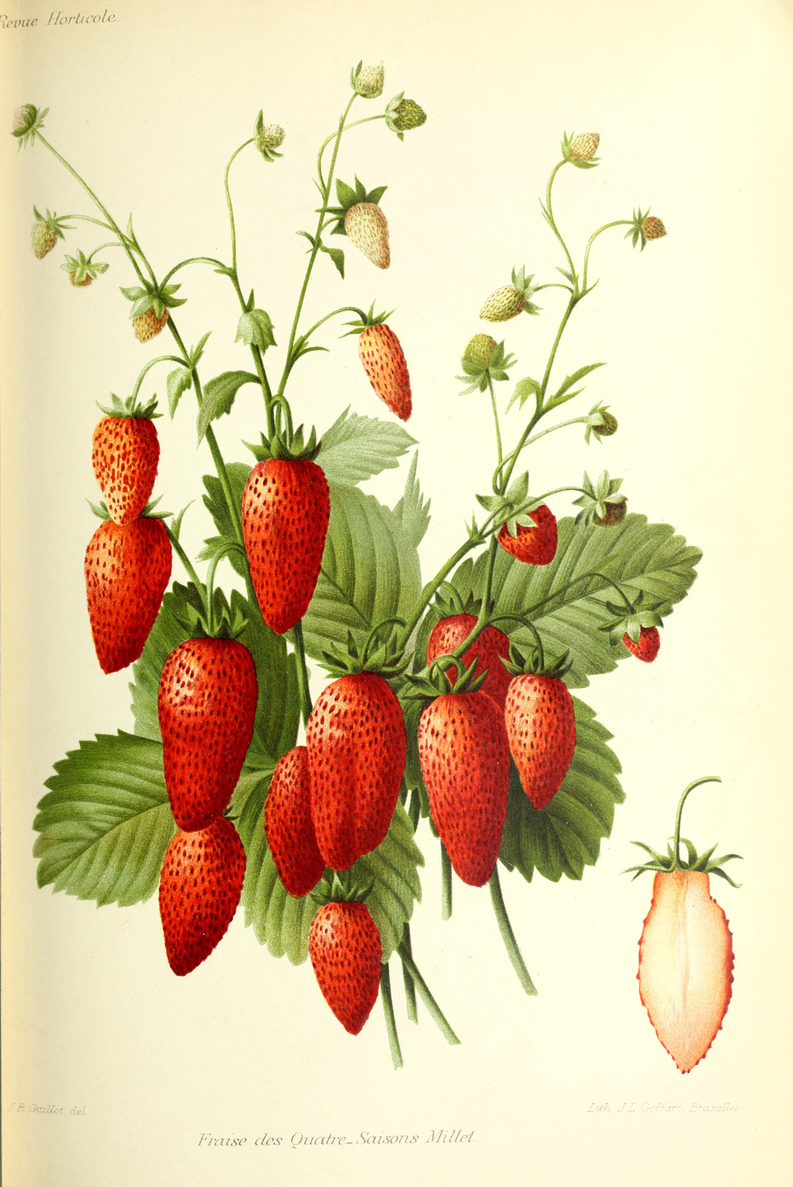 no full size  illustration available (3a)