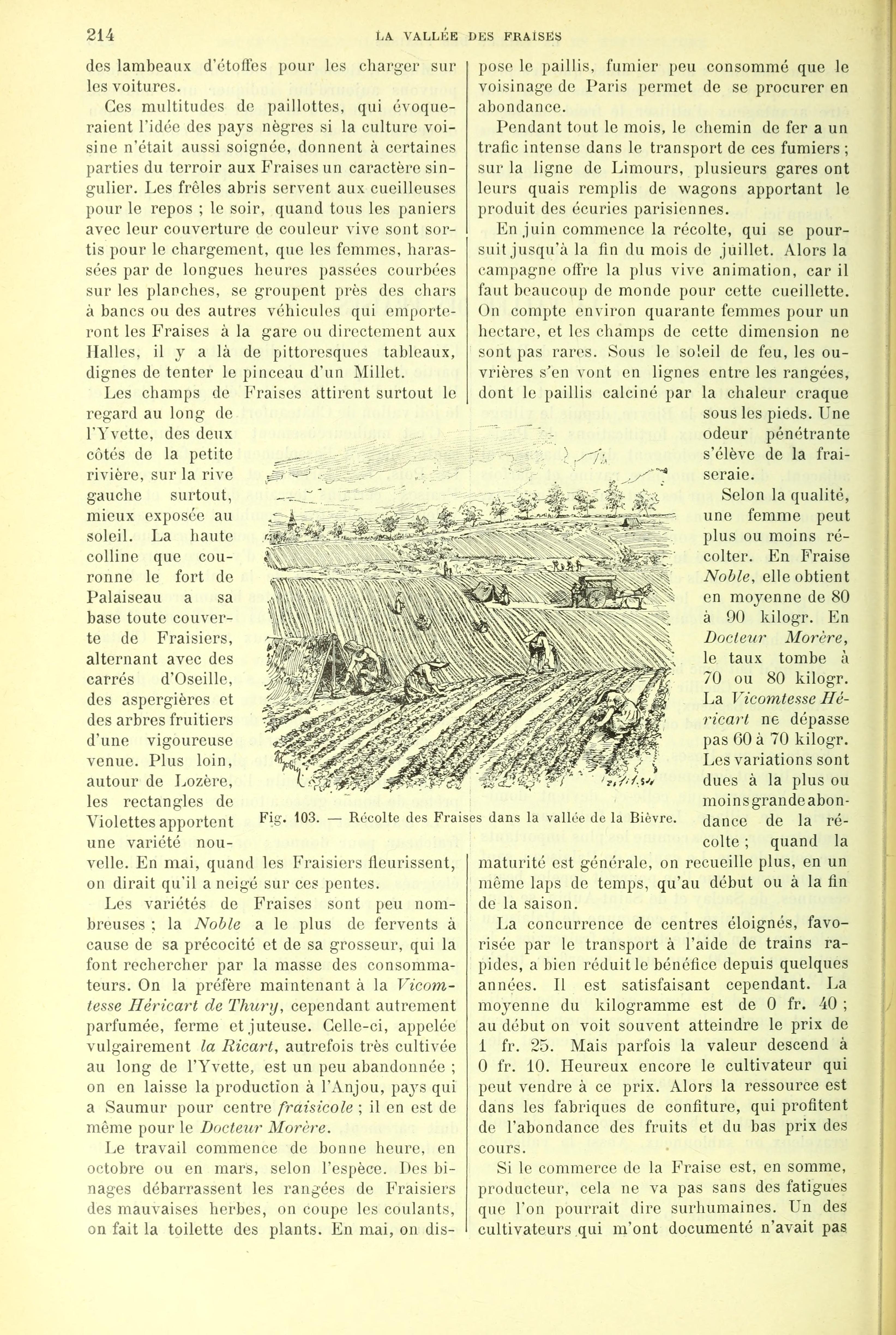 no full size  illustration available (3a)