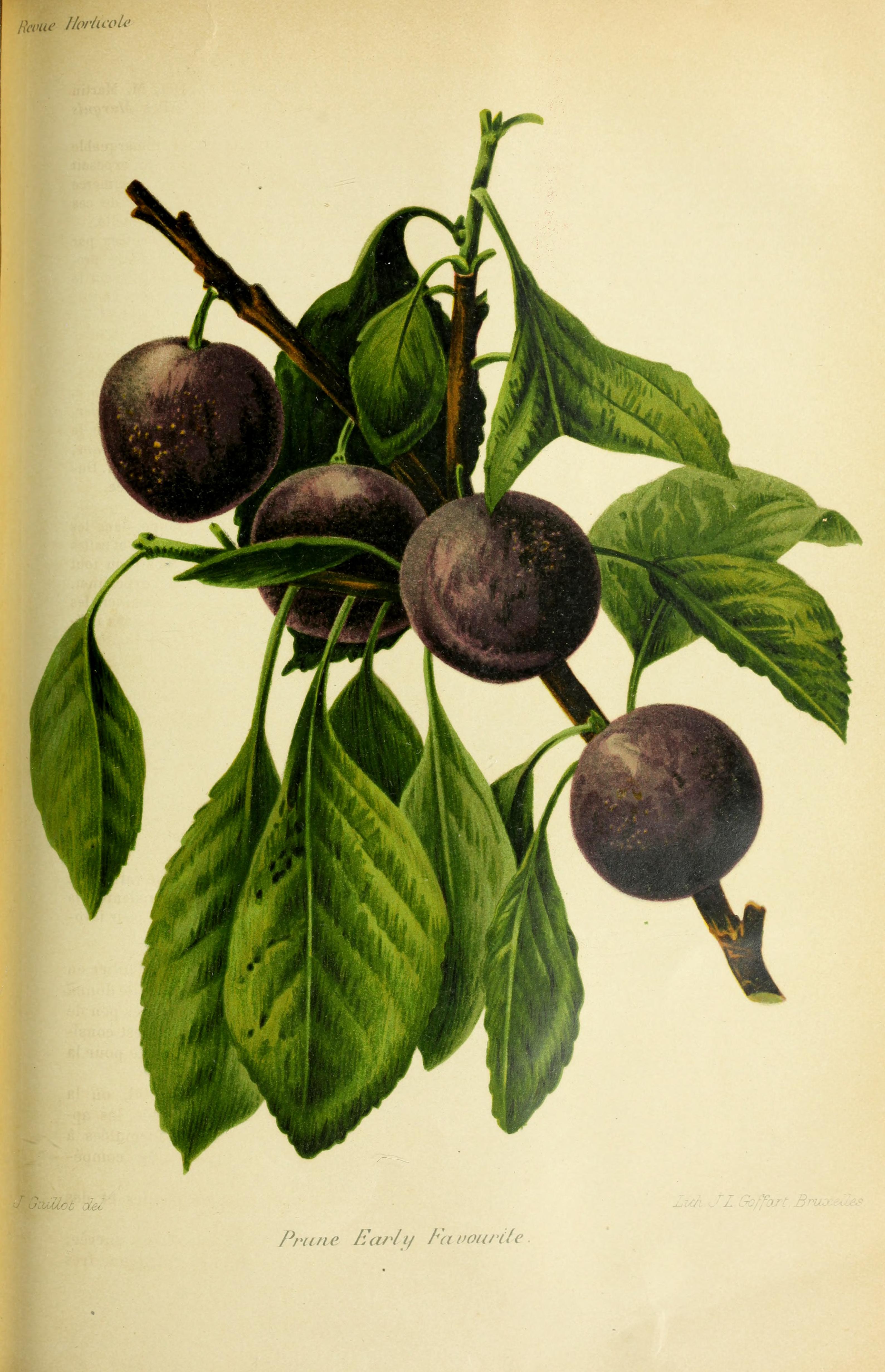 no full size  illustration available (3a)