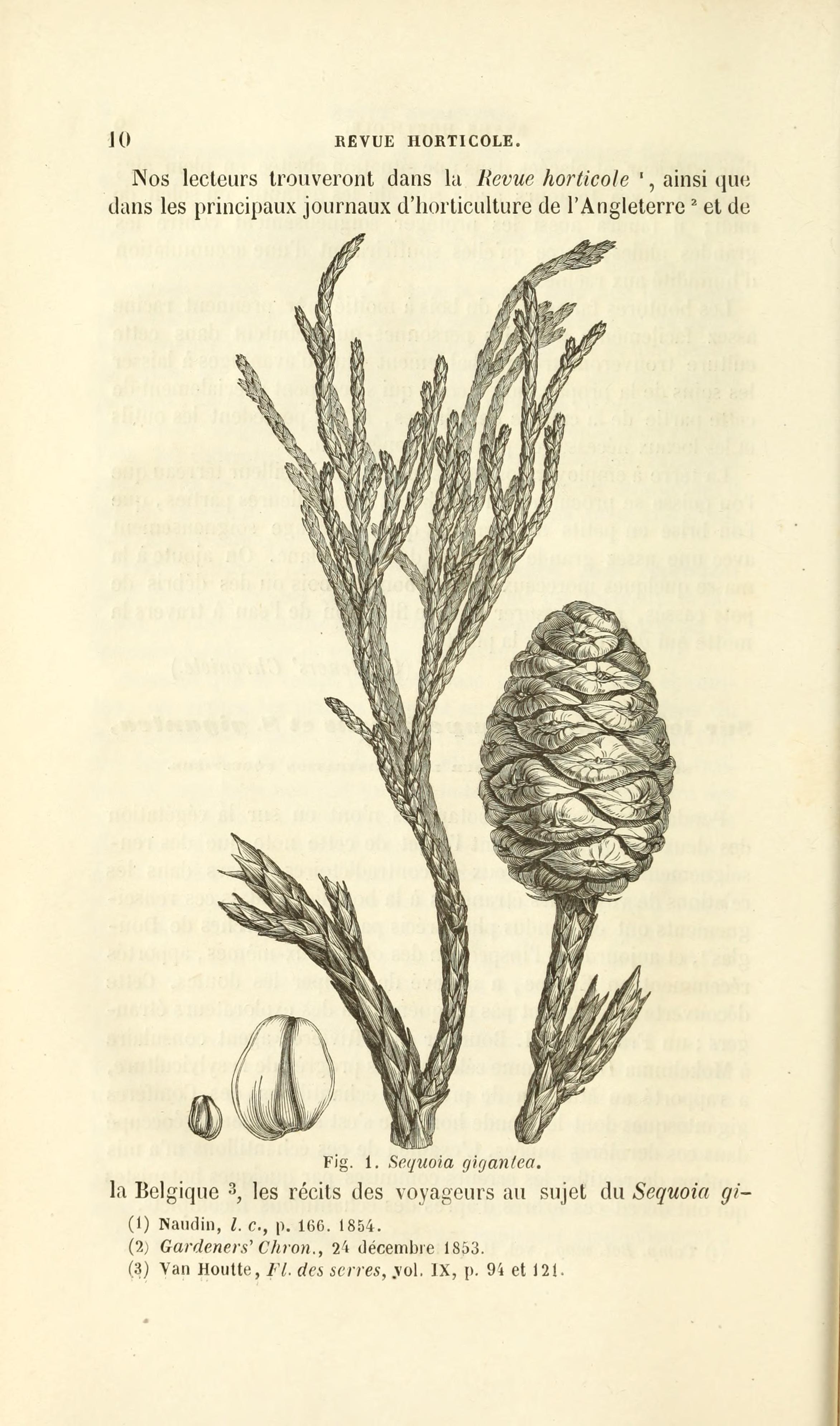 no full size  illustration available (3a)