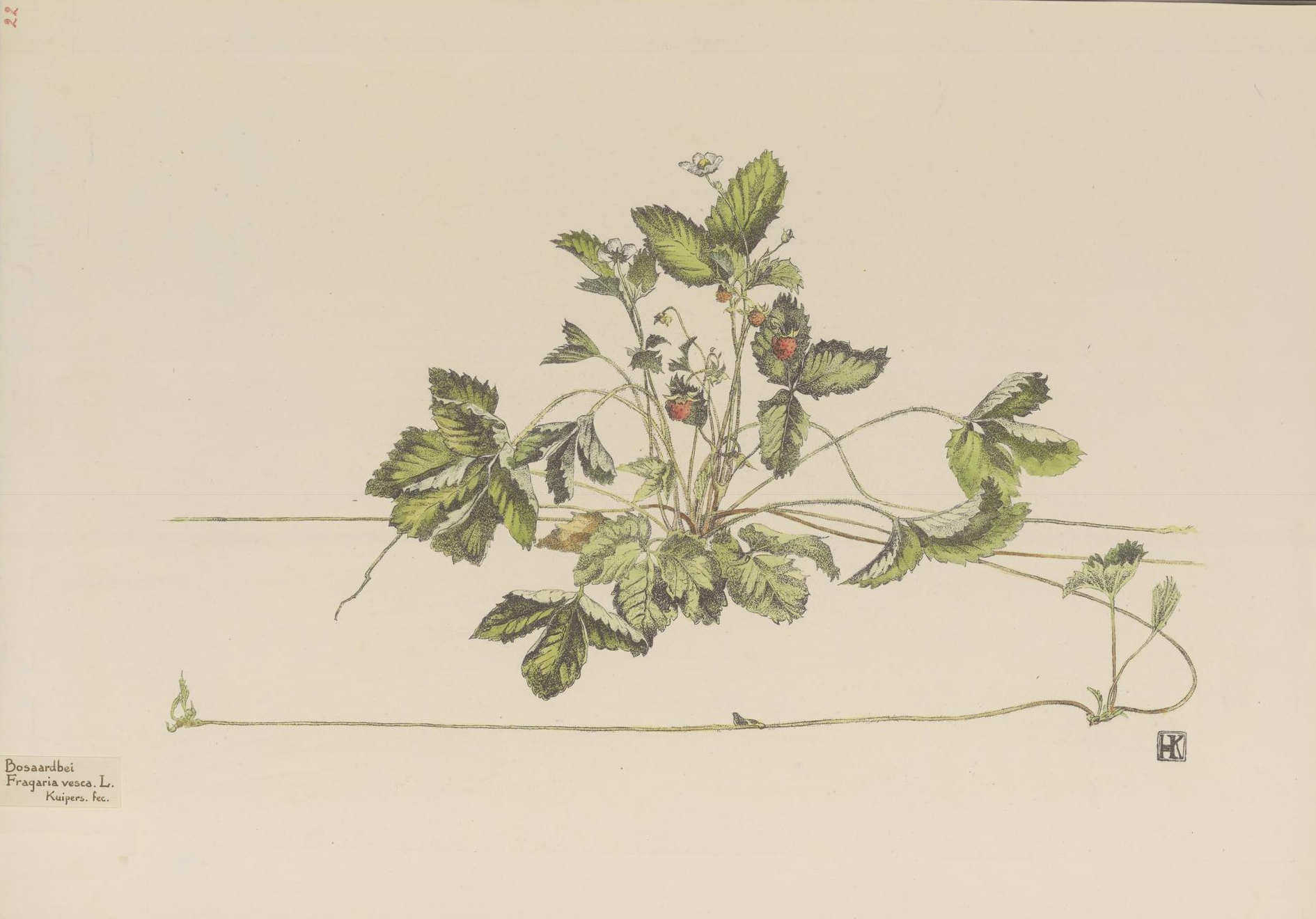 no full size  illustration available (3a)