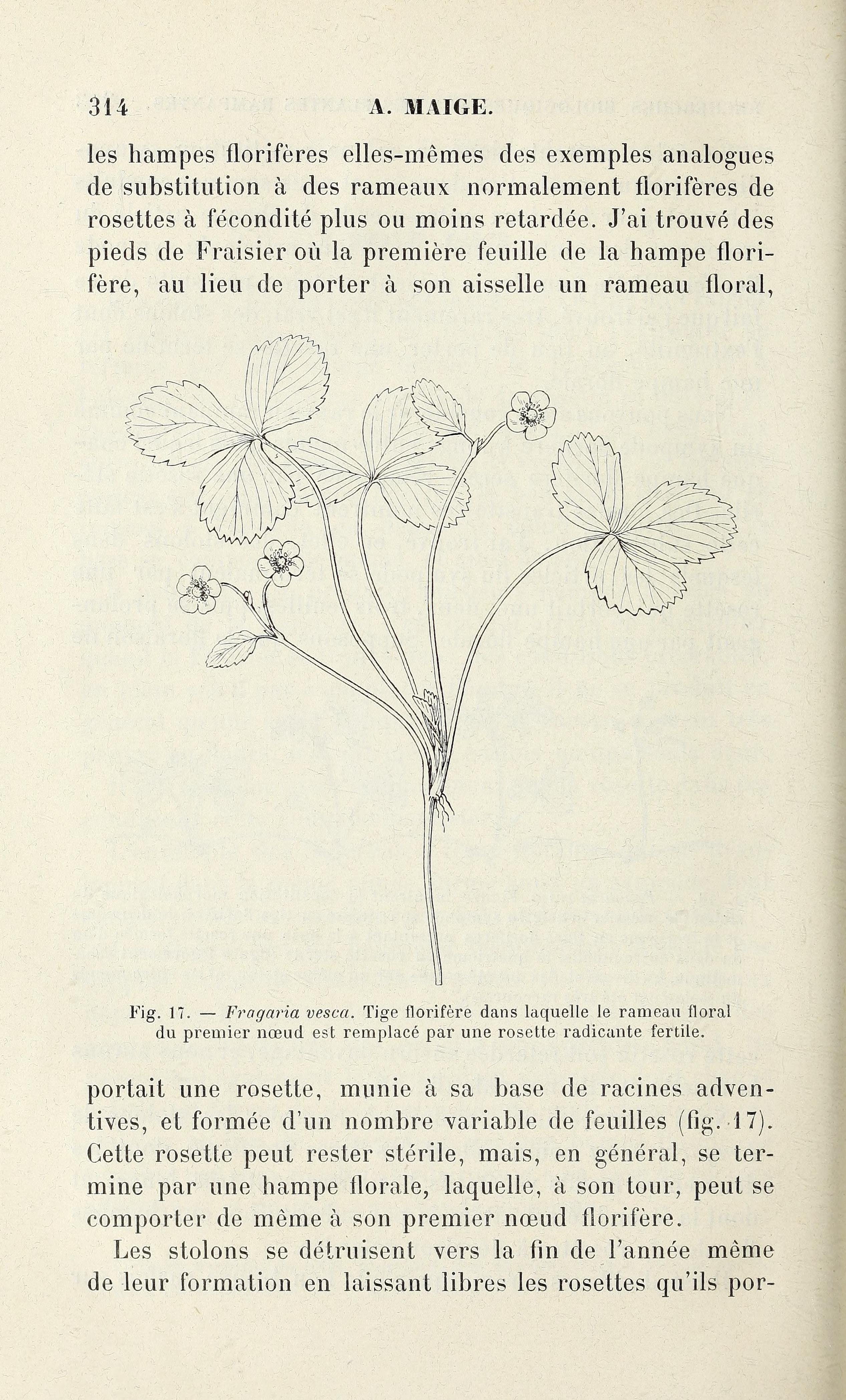 no full size  illustration available (3a)