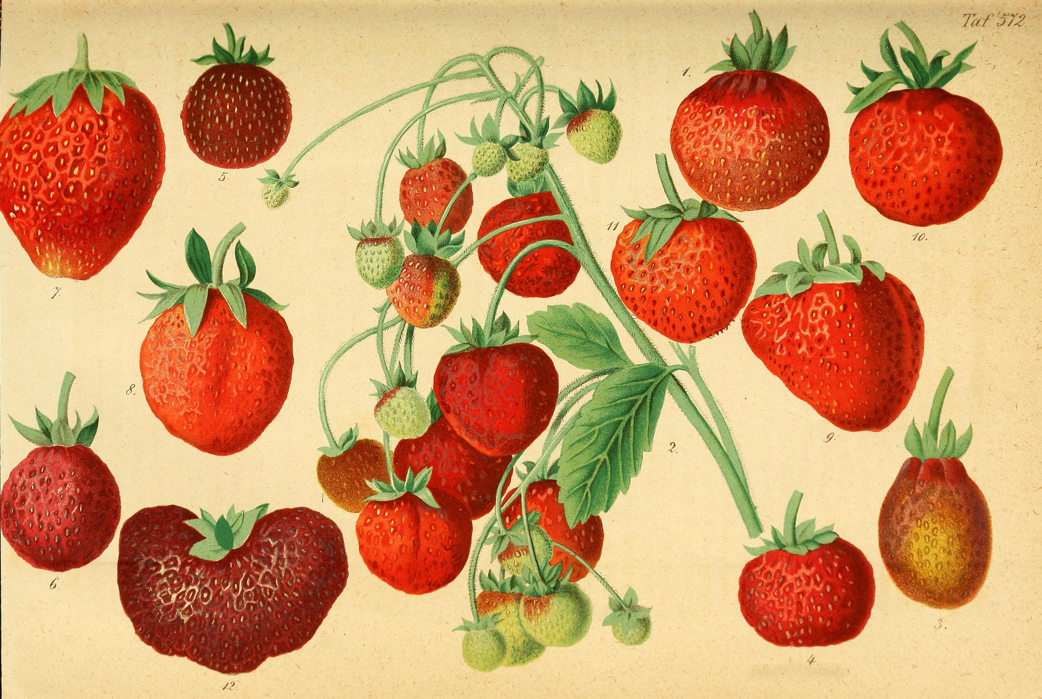 no full size  illustration available (3a)