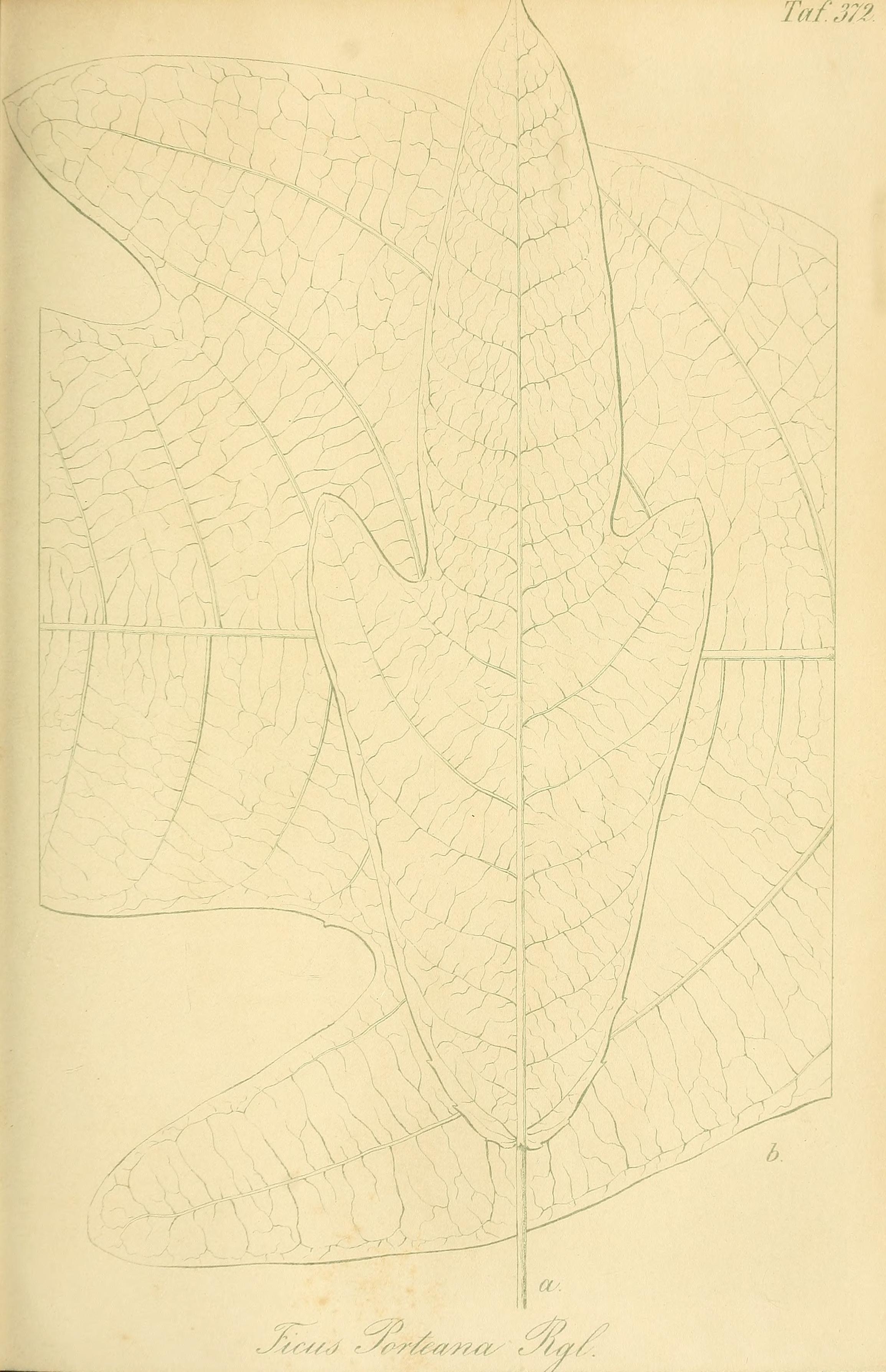 no full size  illustration available (3a)