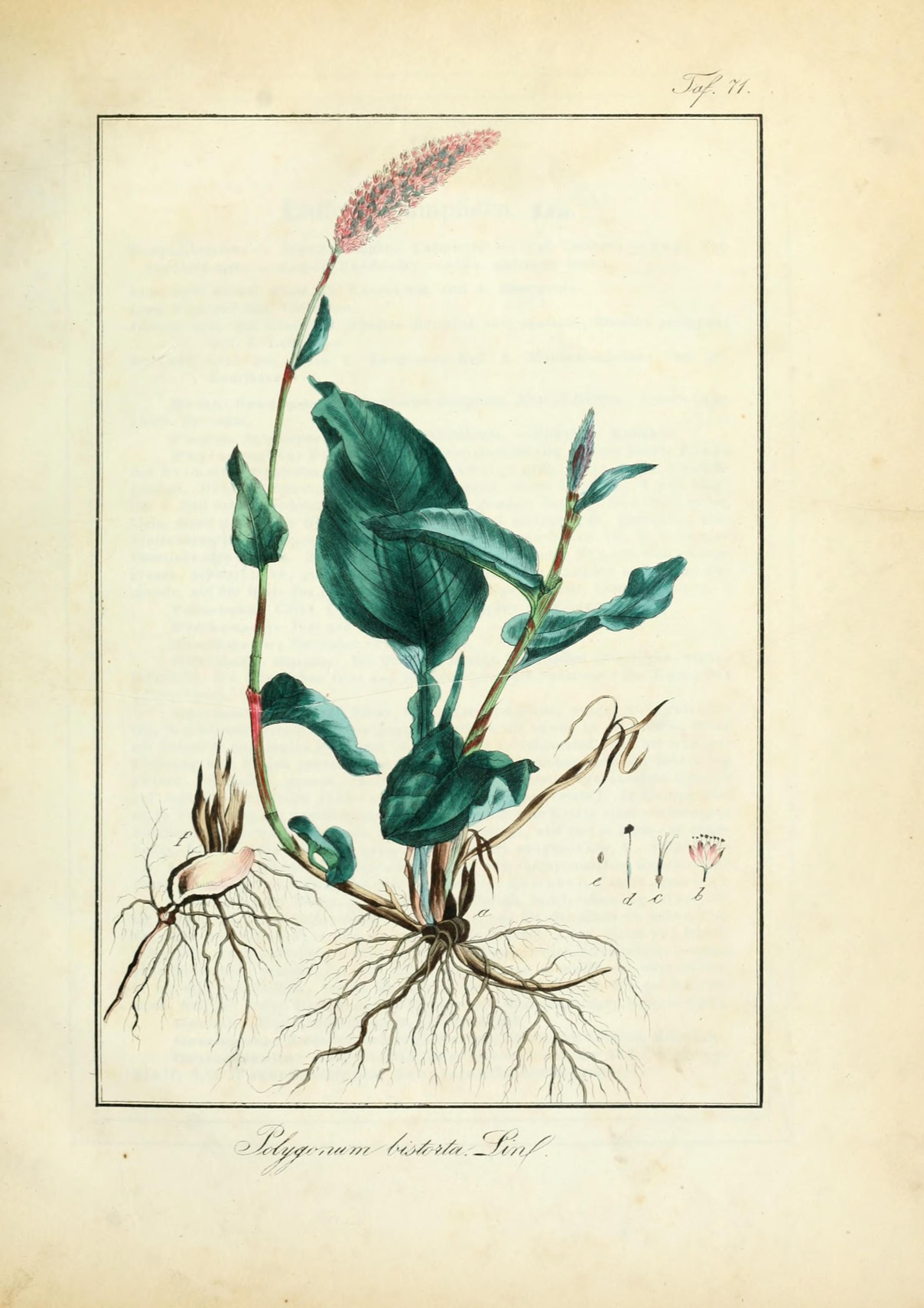 no full size  illustration available (3a)