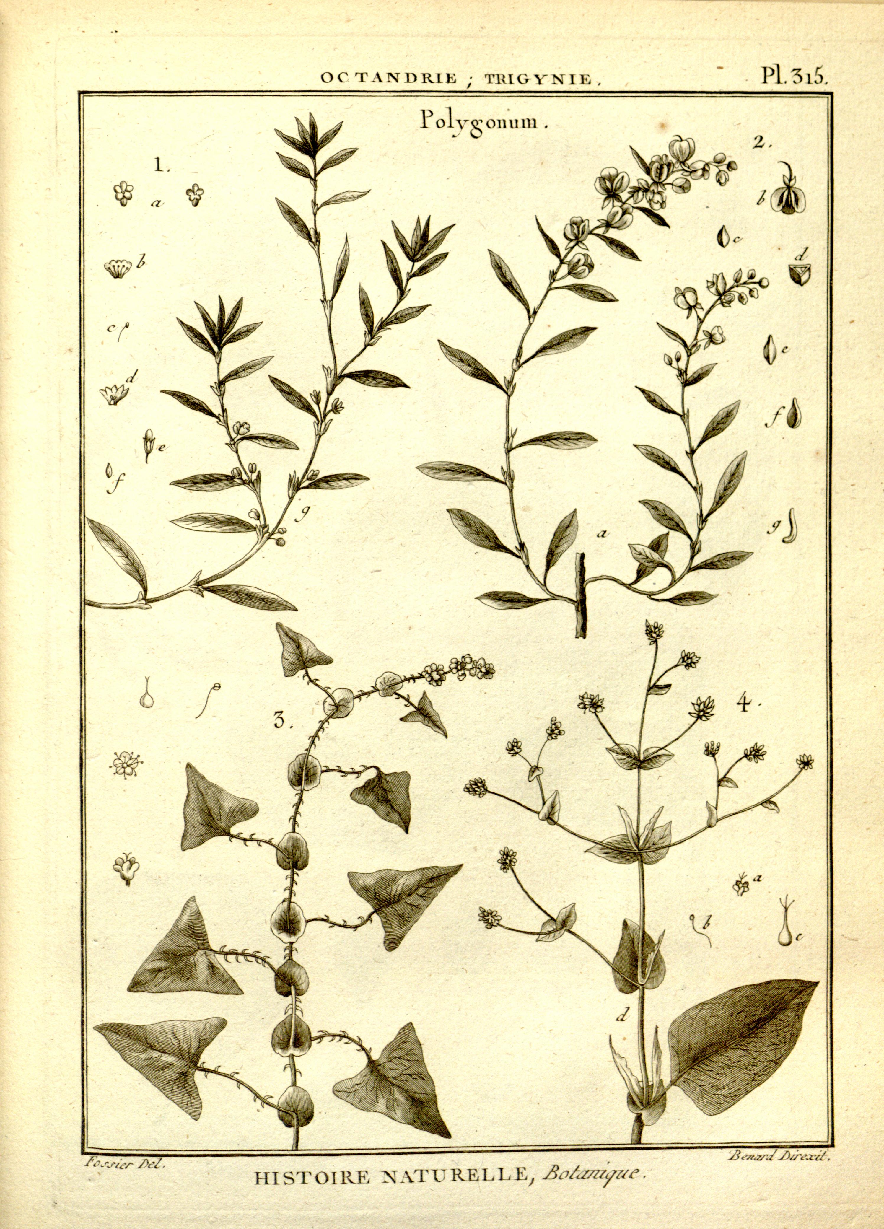 no full size  illustration available (3a)