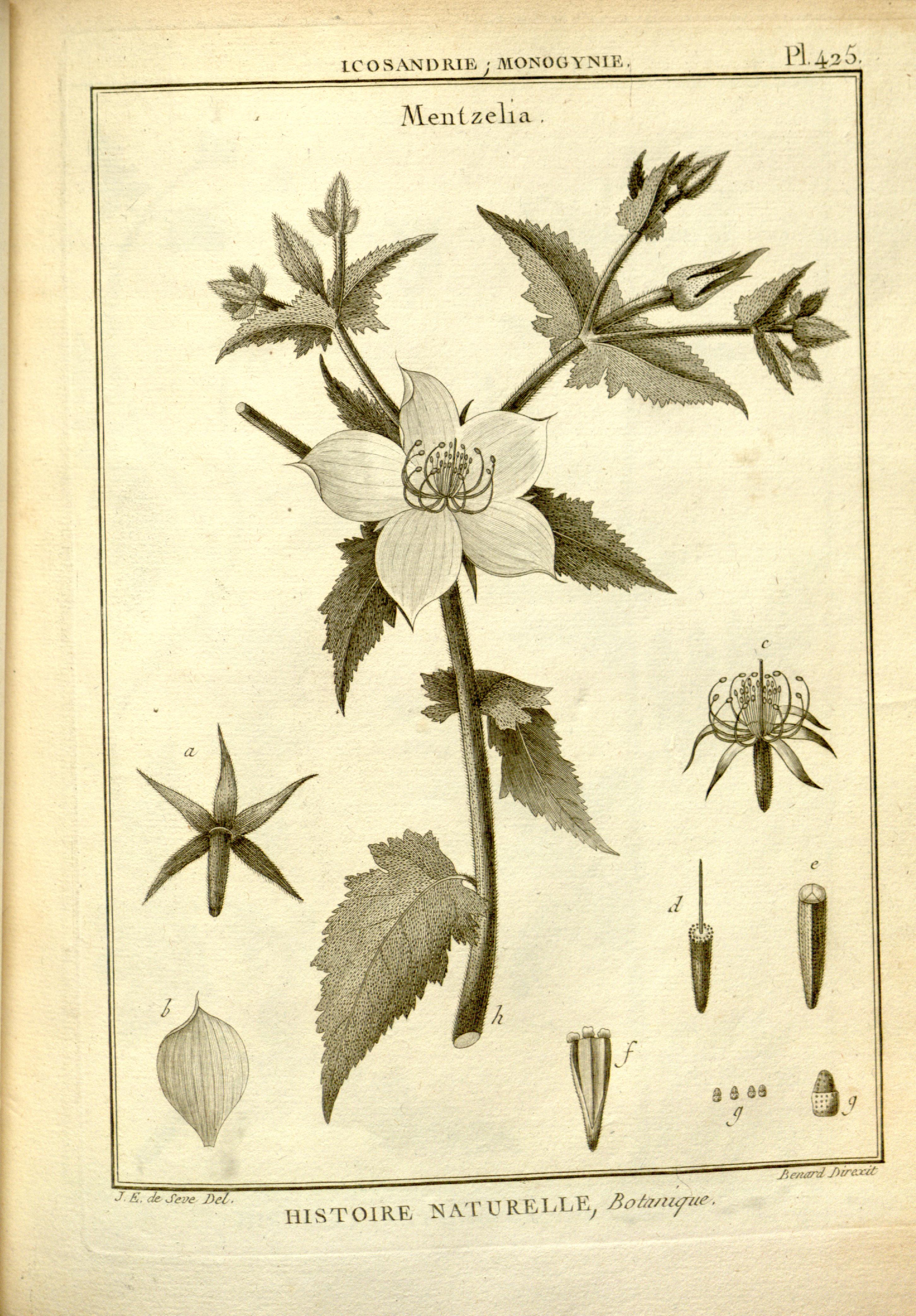 no full size  illustration available (3a)