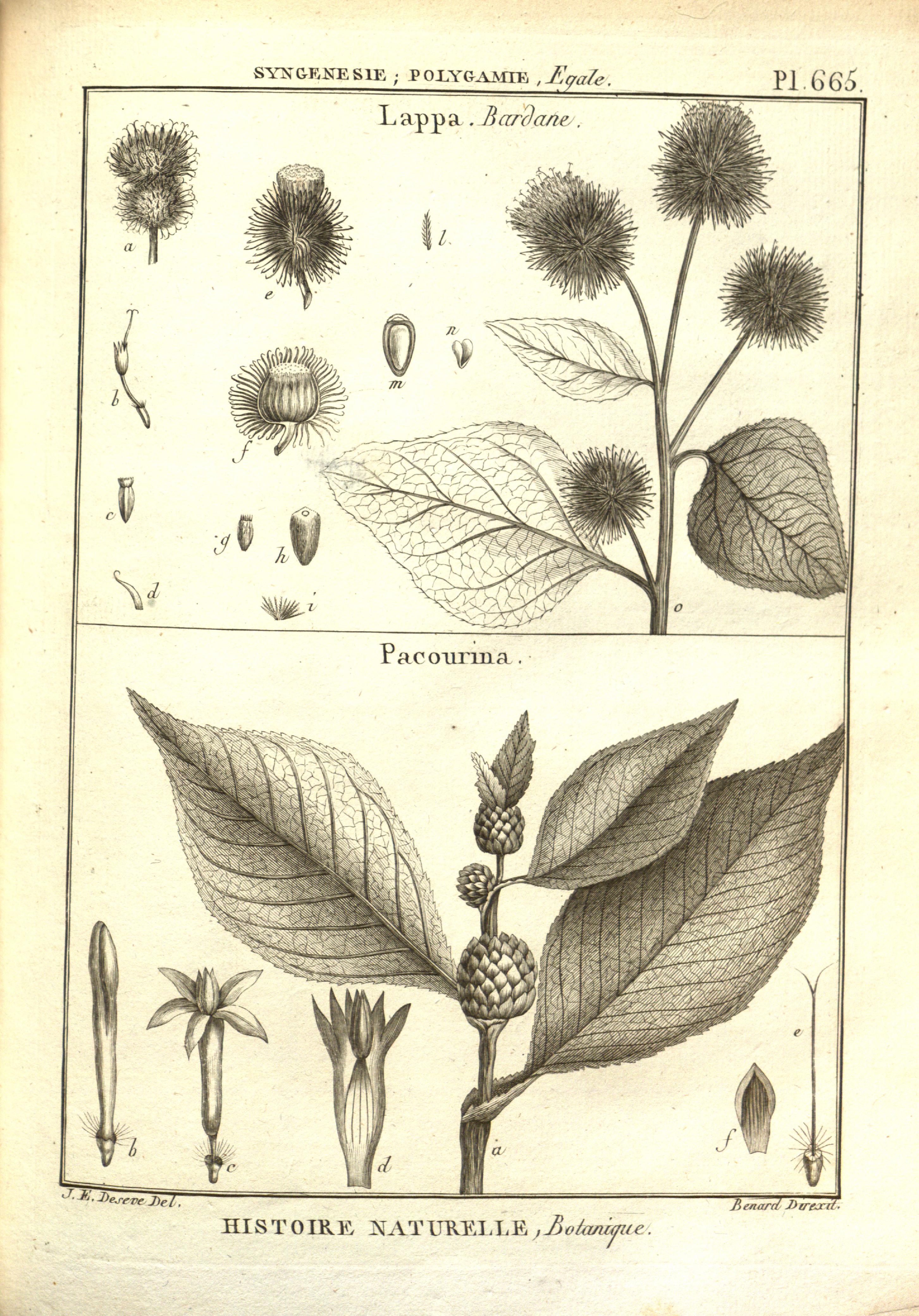 no full size  illustration available (3a)