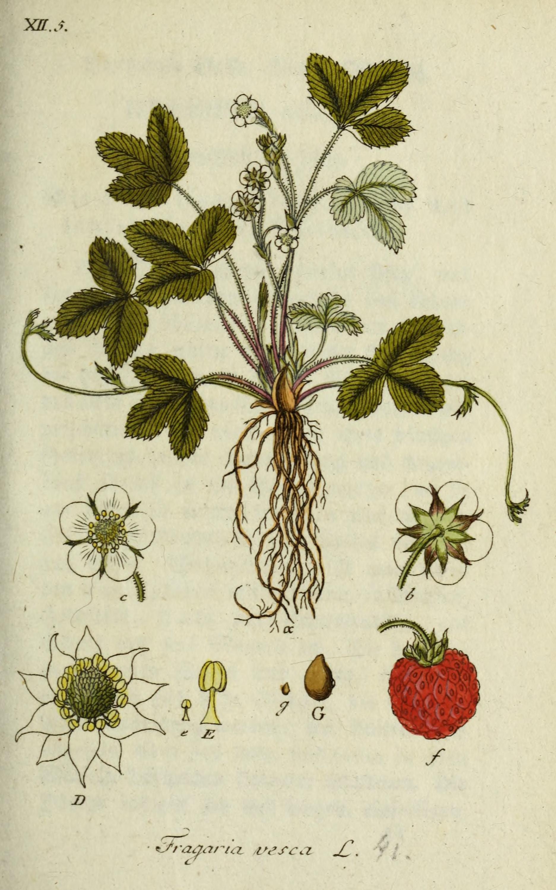 no full size  illustration available (3a)