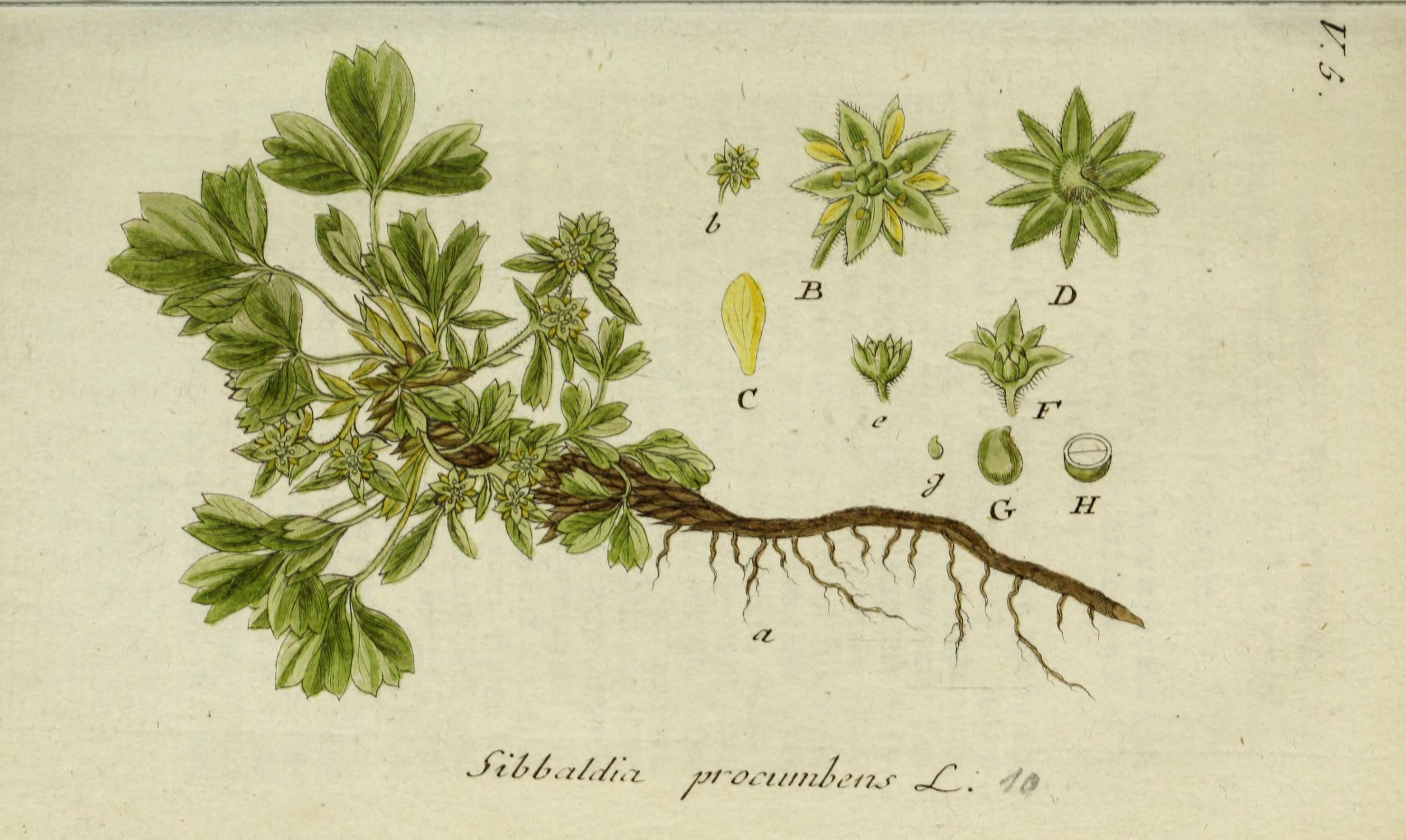 no full size  illustration available (3a)