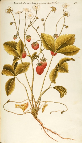 no full size  illustration available (3a)