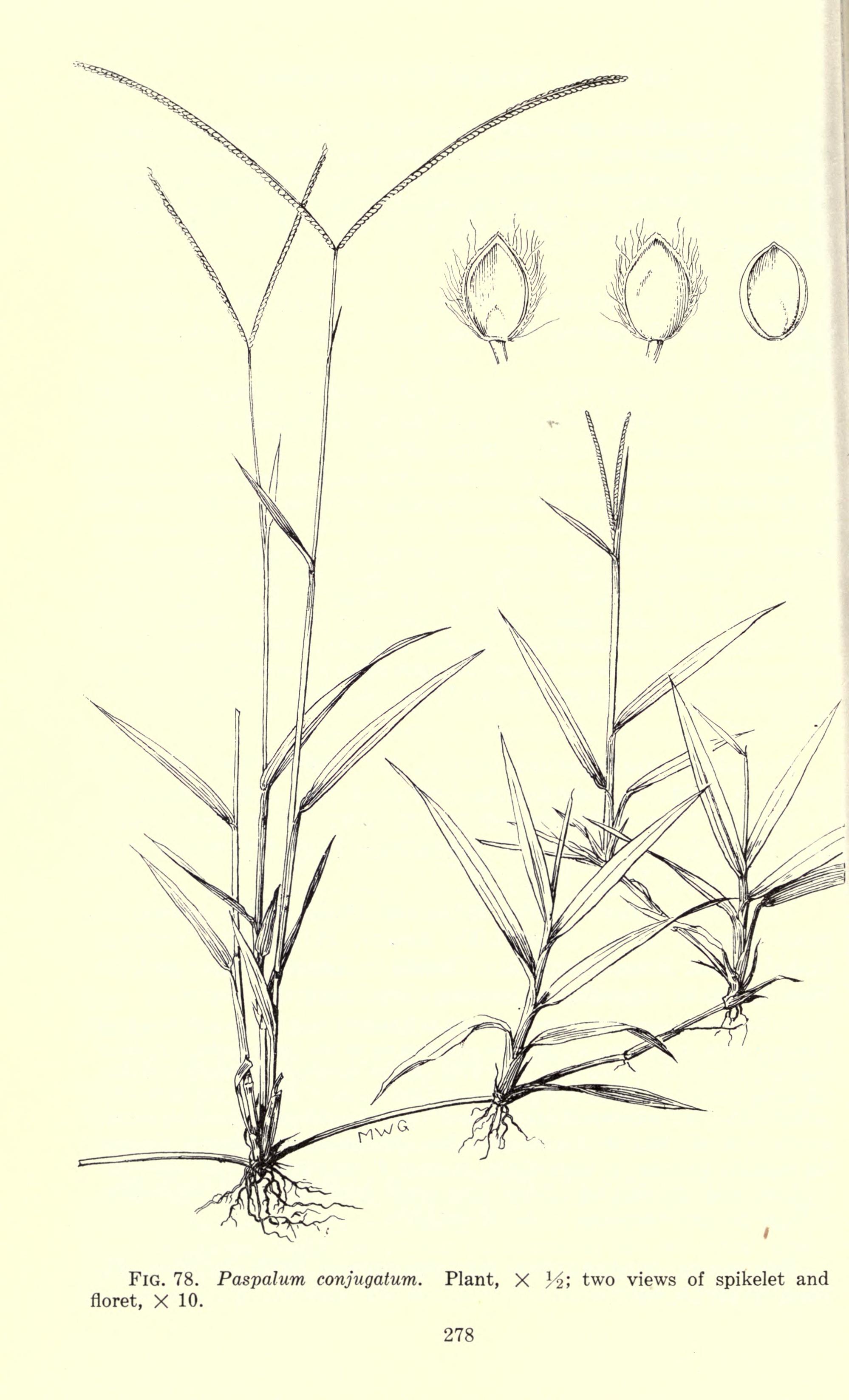 no full size  illustration available (3a)