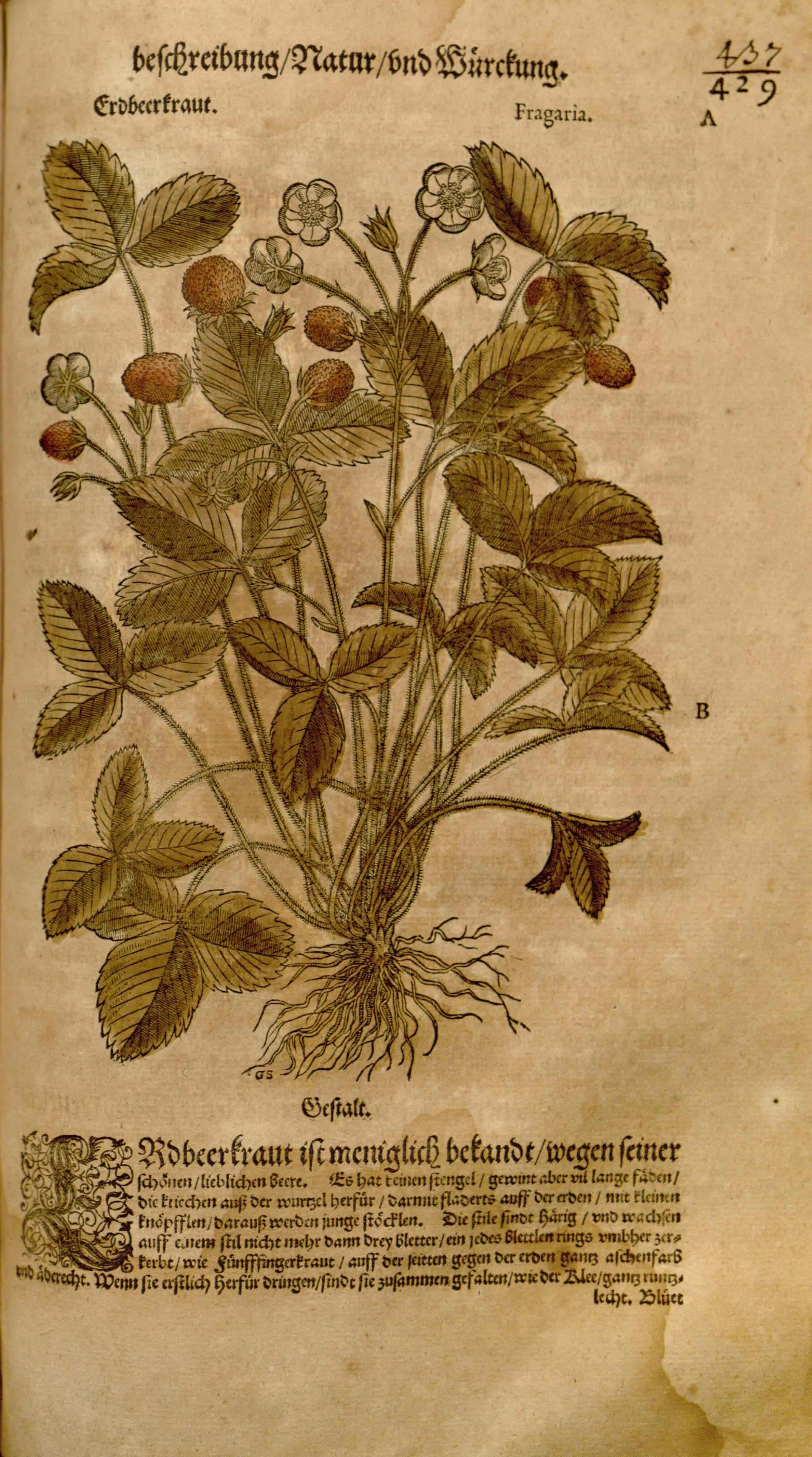 no full size  illustration available (3a)