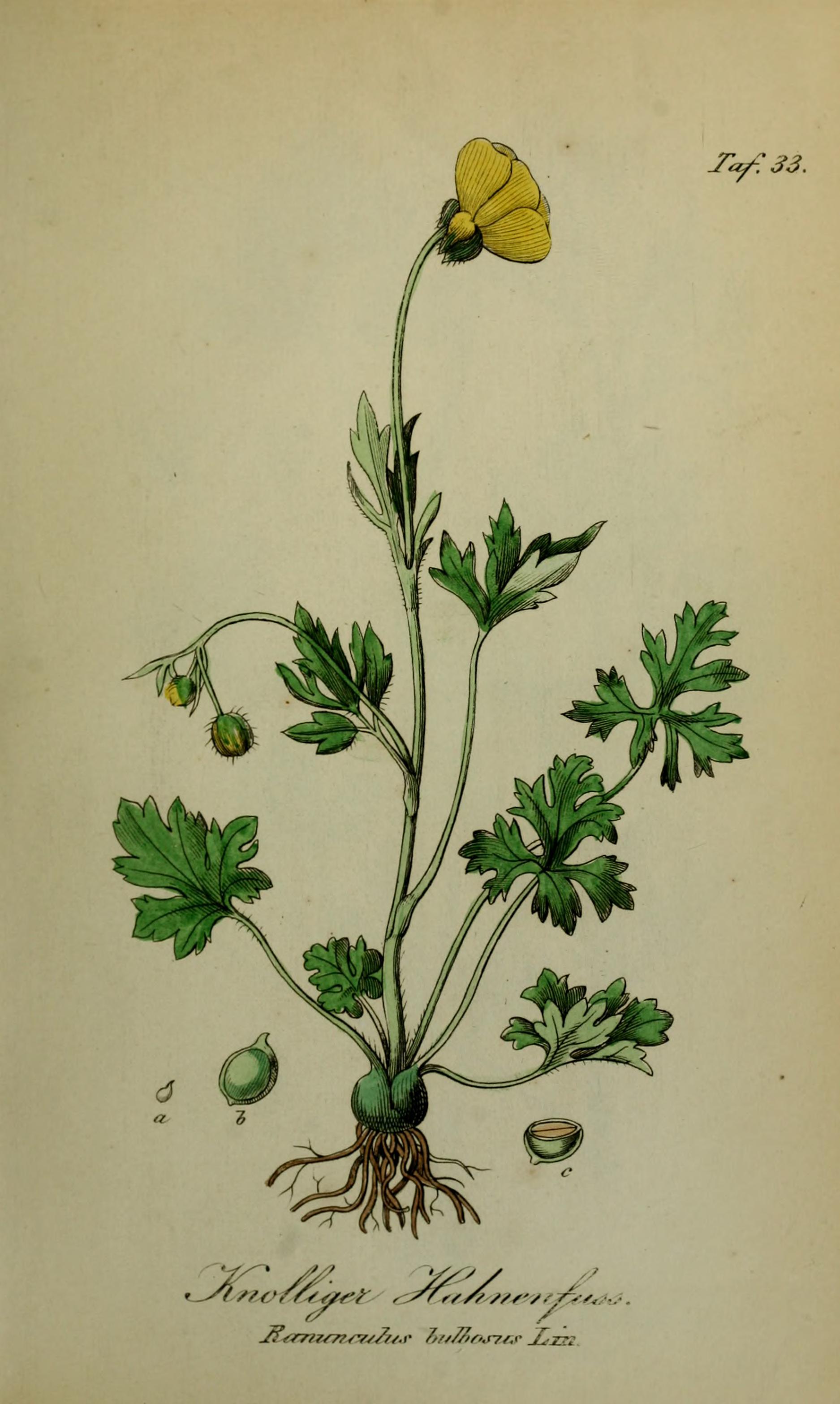 no full size  illustration available (3a)