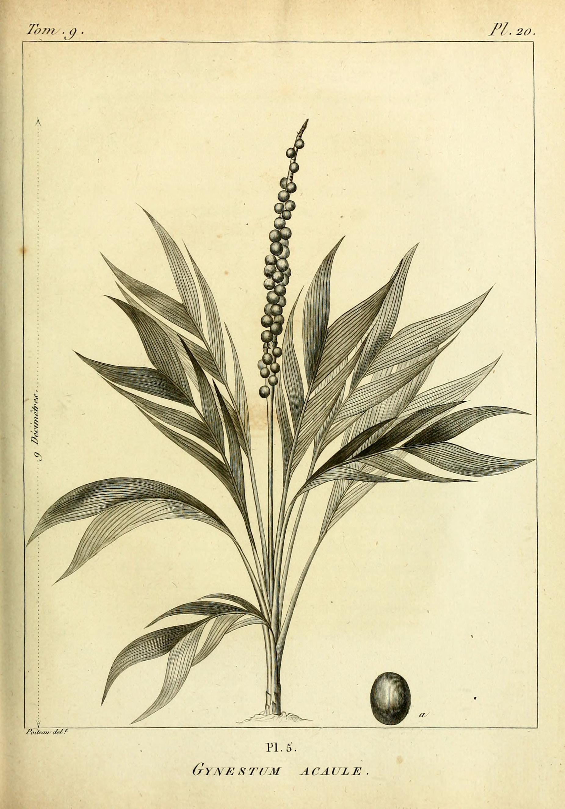 no full size  illustration available (3a)