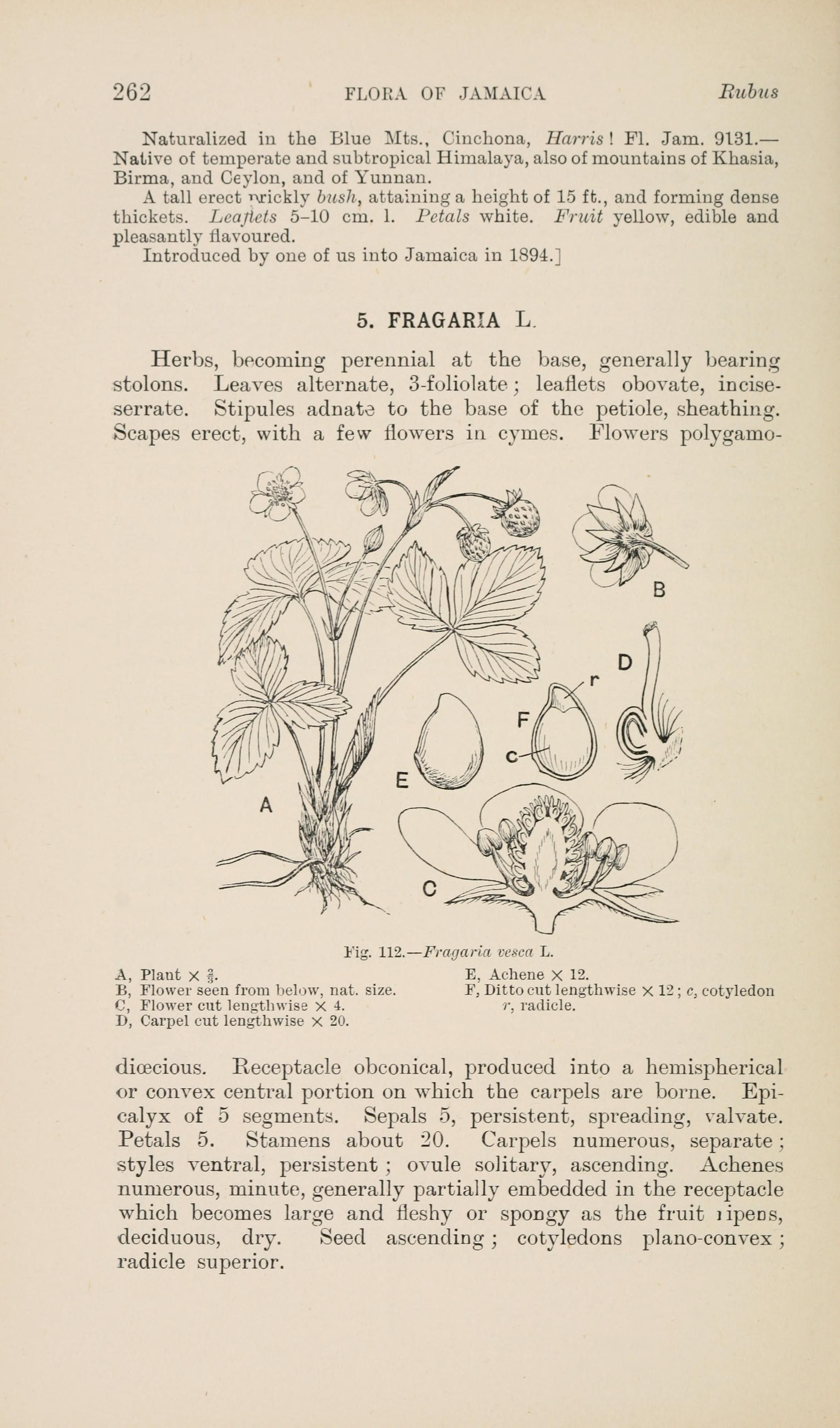 no full size  illustration available (3a)