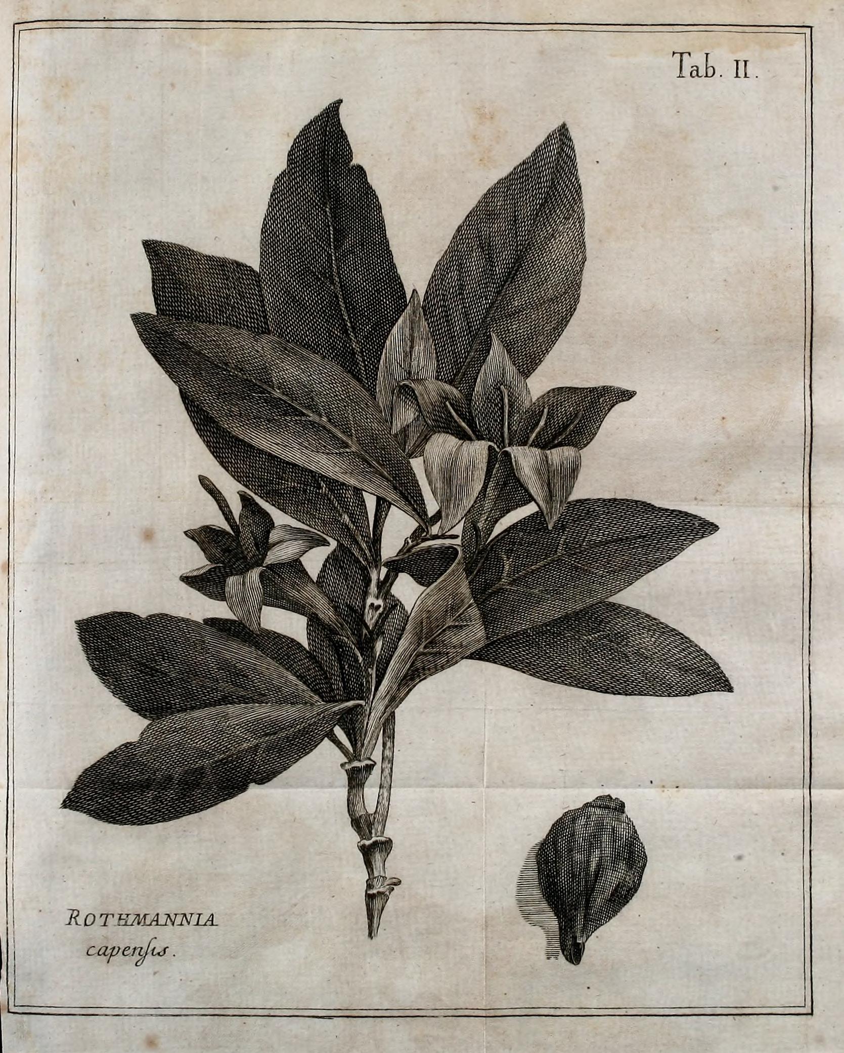 no full size  illustration available (3a)