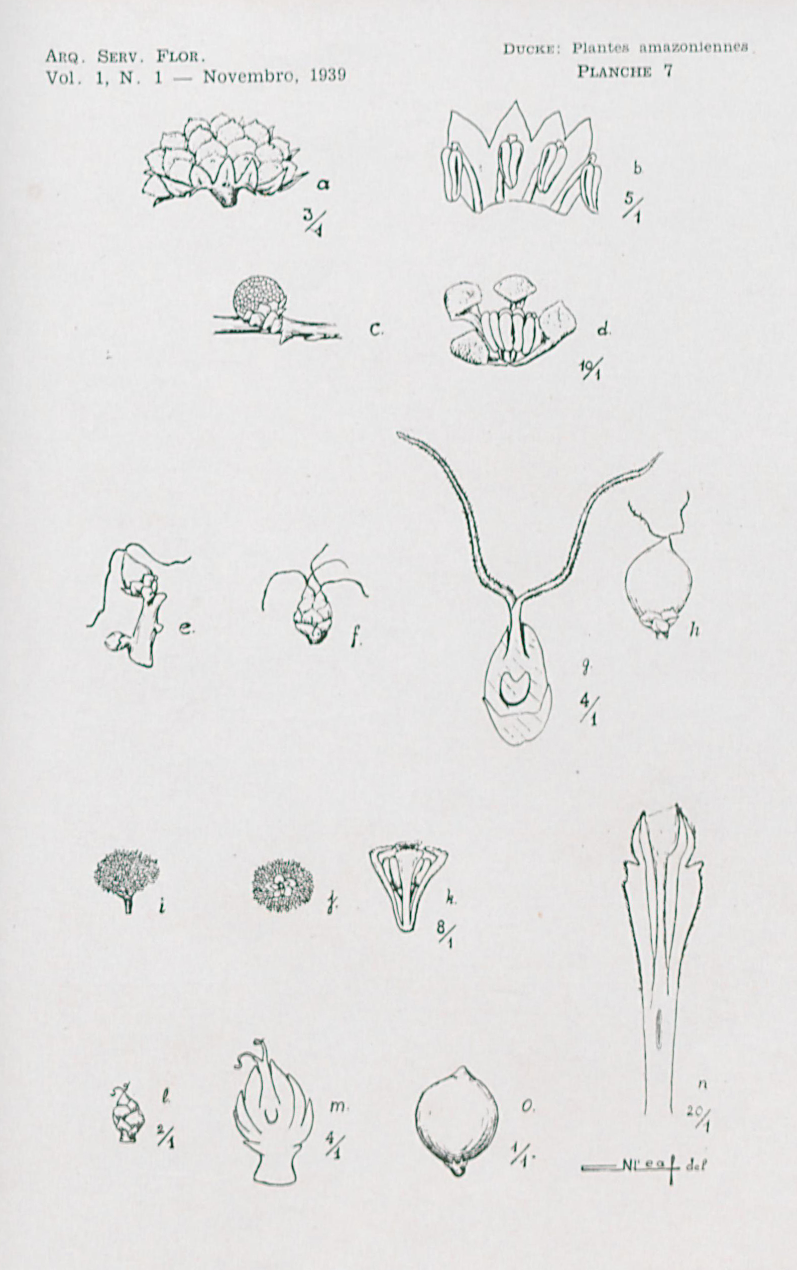 no full size  illustration available (3a)