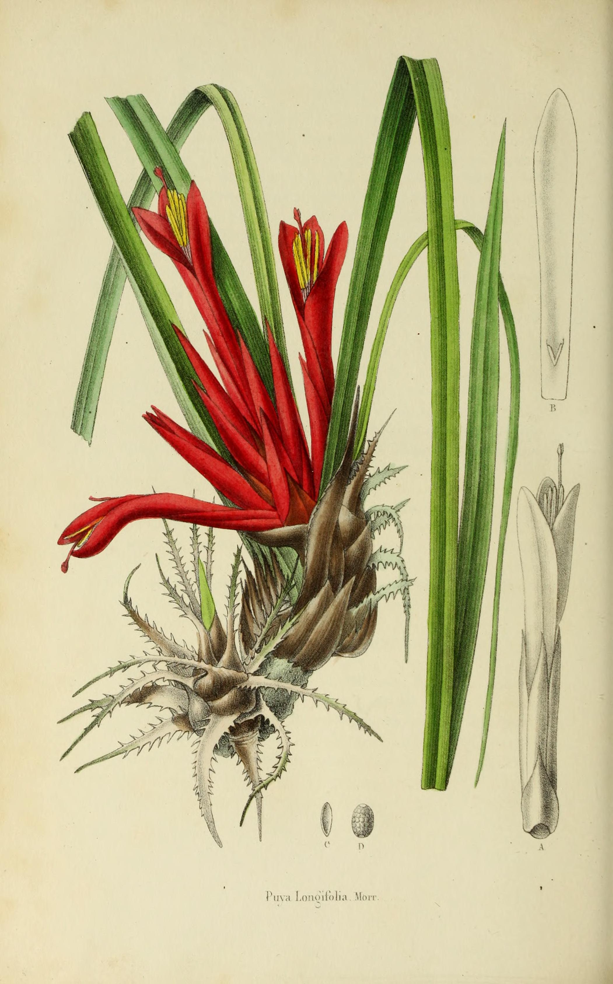 no full size  illustration available (3a)