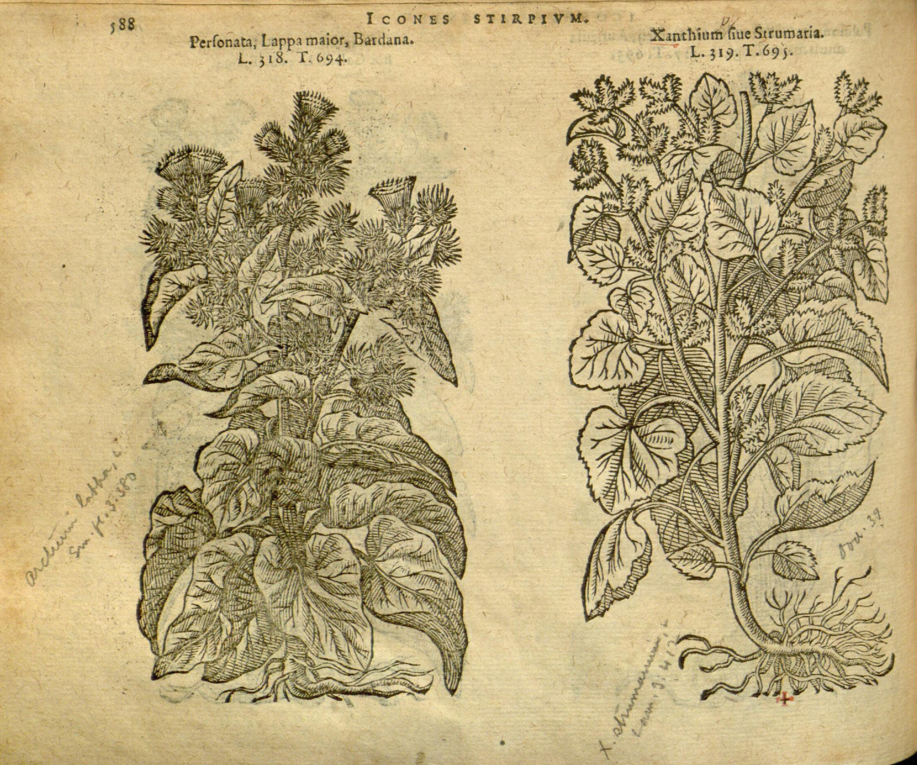 no full size  illustration available (3a)