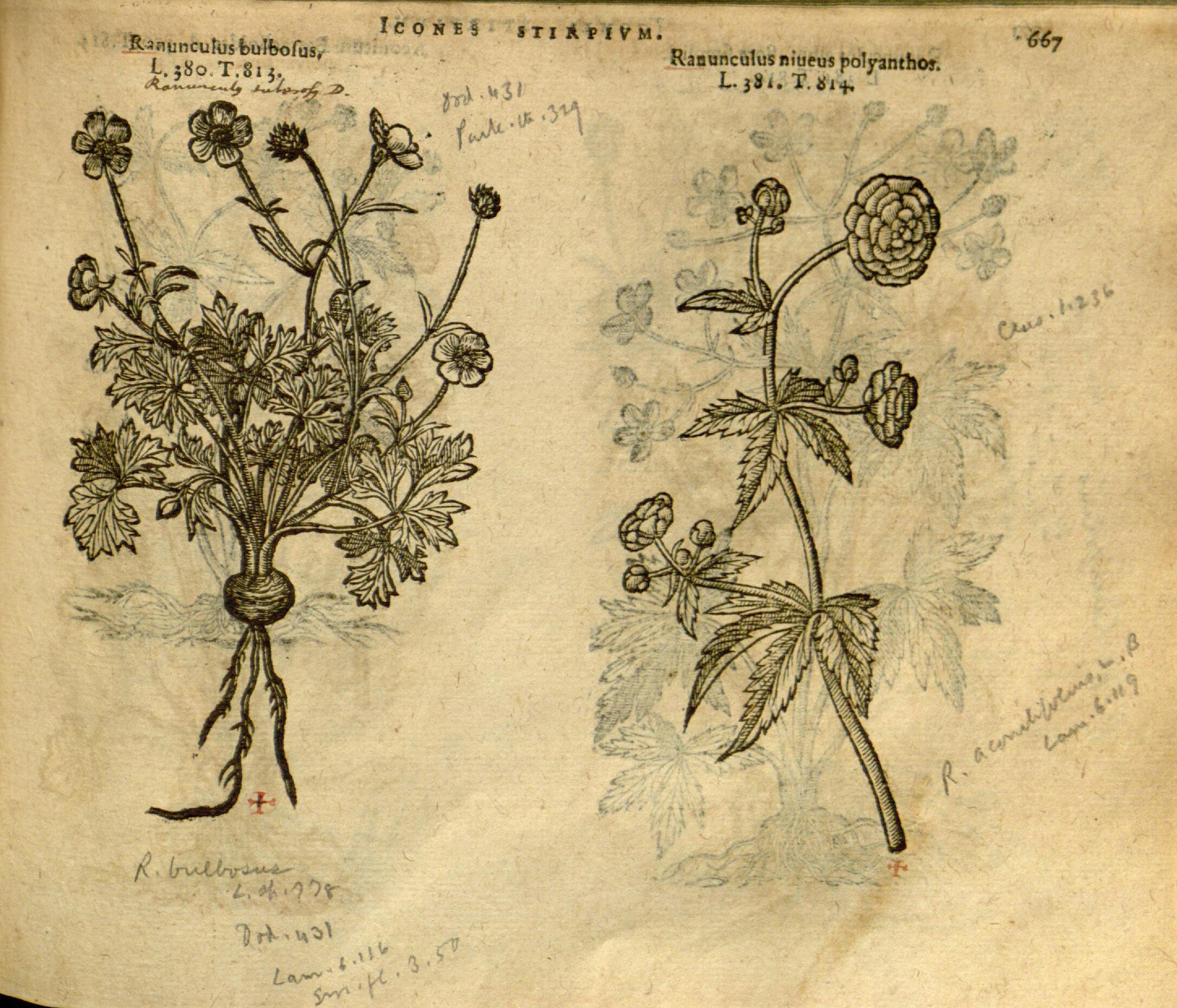 no full size  illustration available (3a)