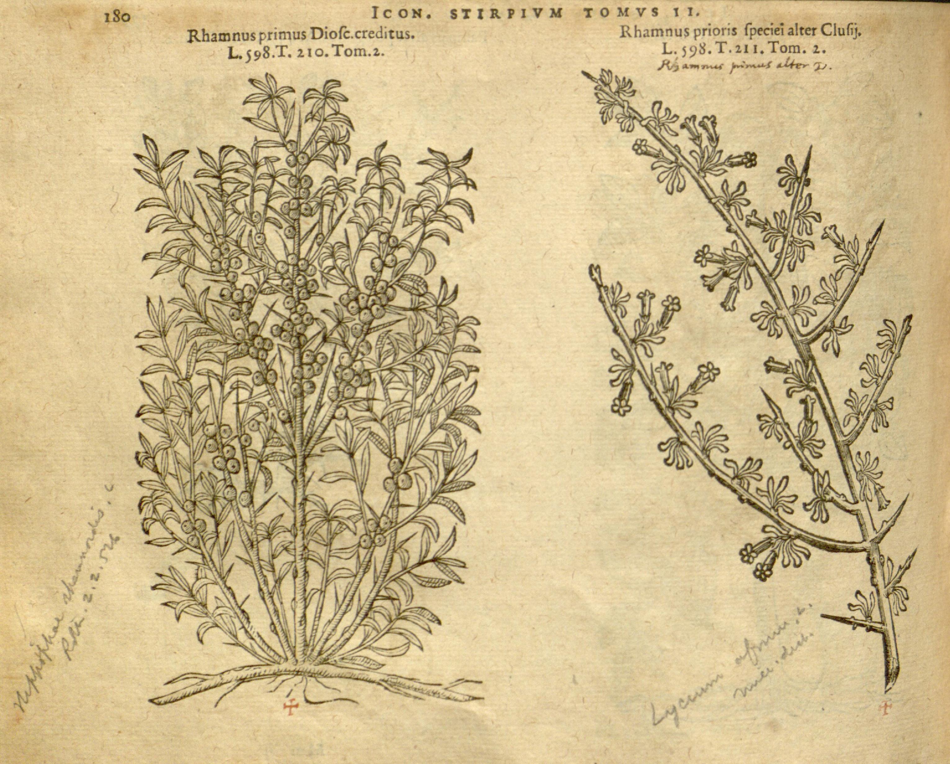 no full size  illustration available (3a)