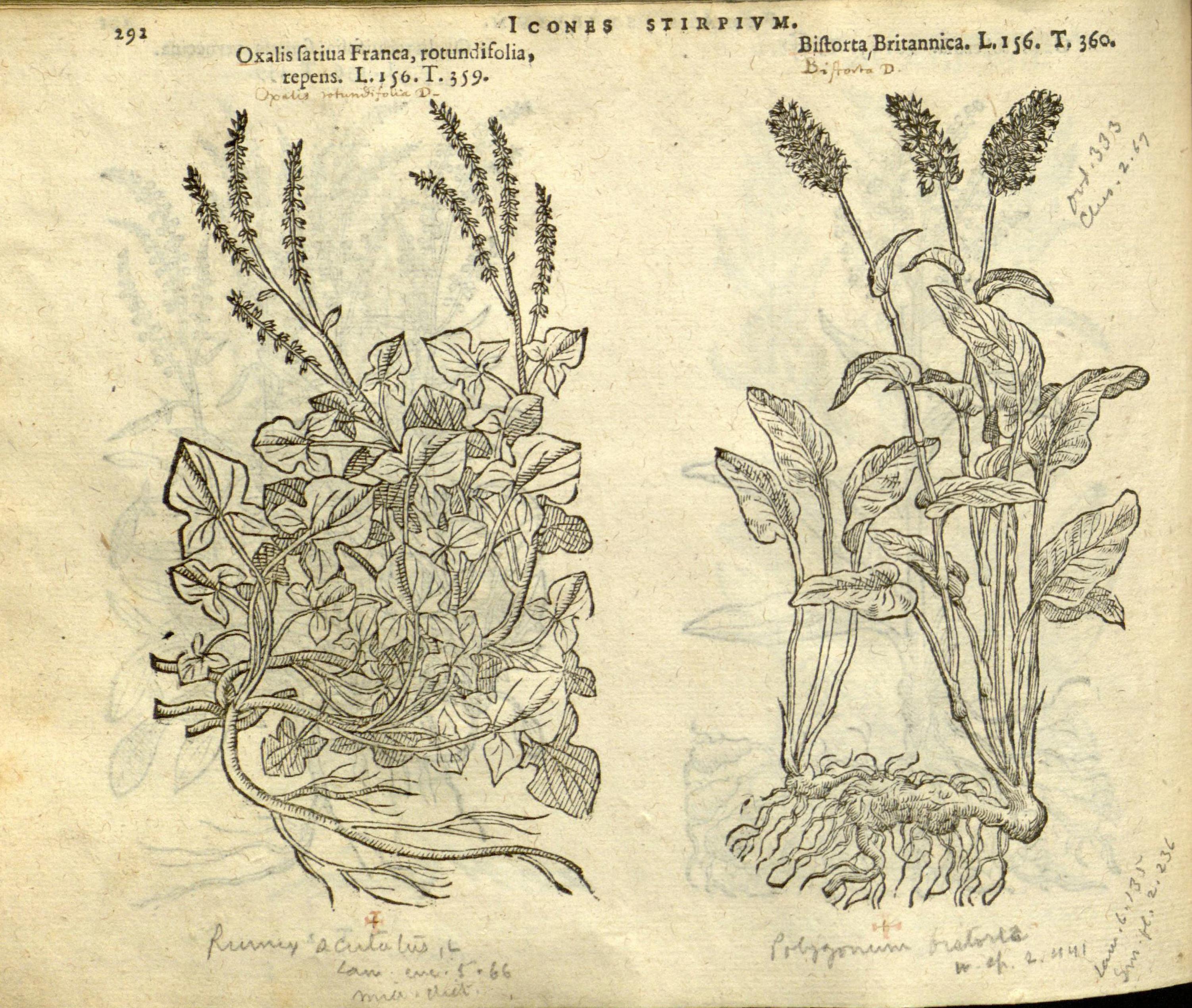 no full size  illustration available (3a)