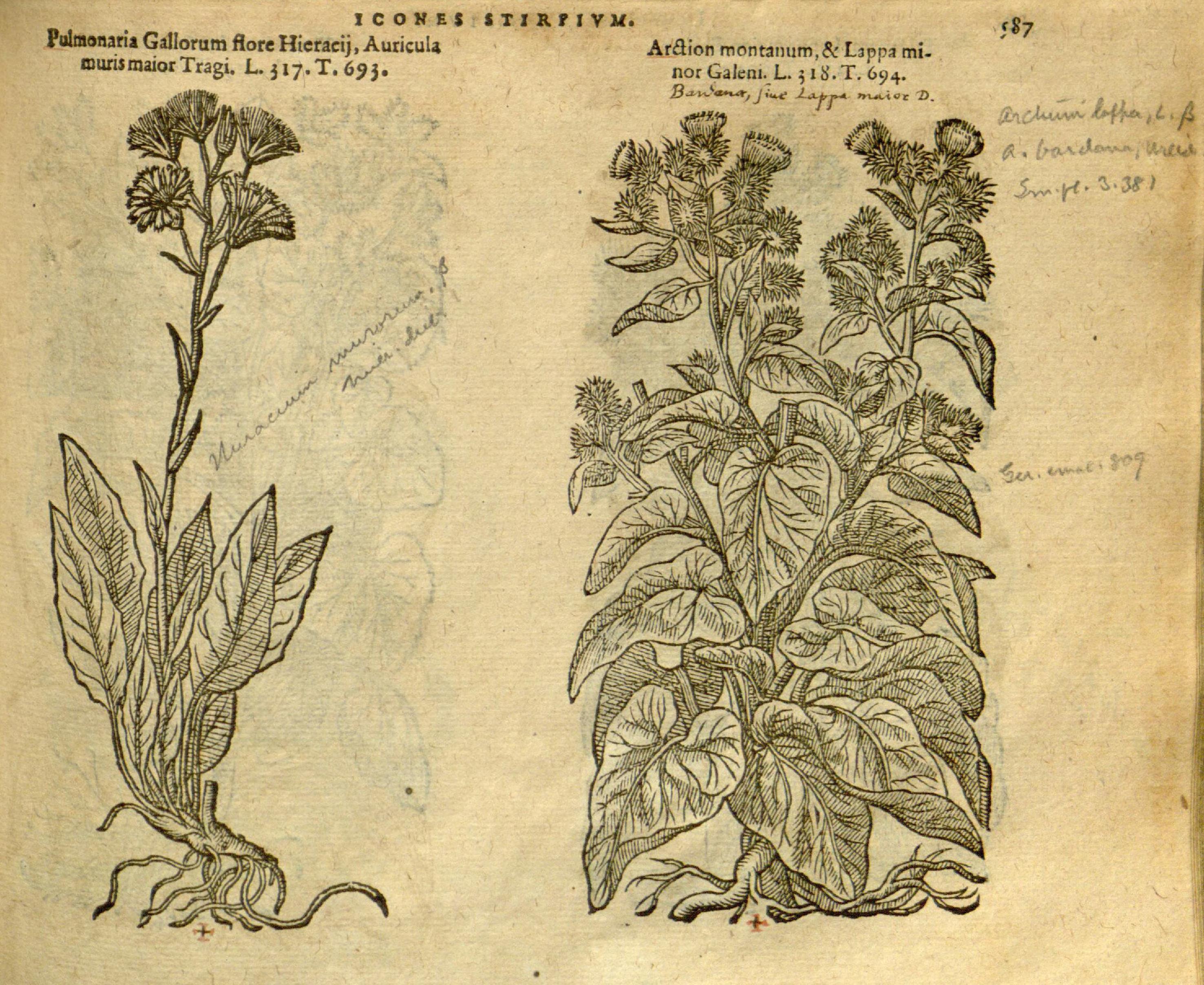 no full size  illustration available (3a)