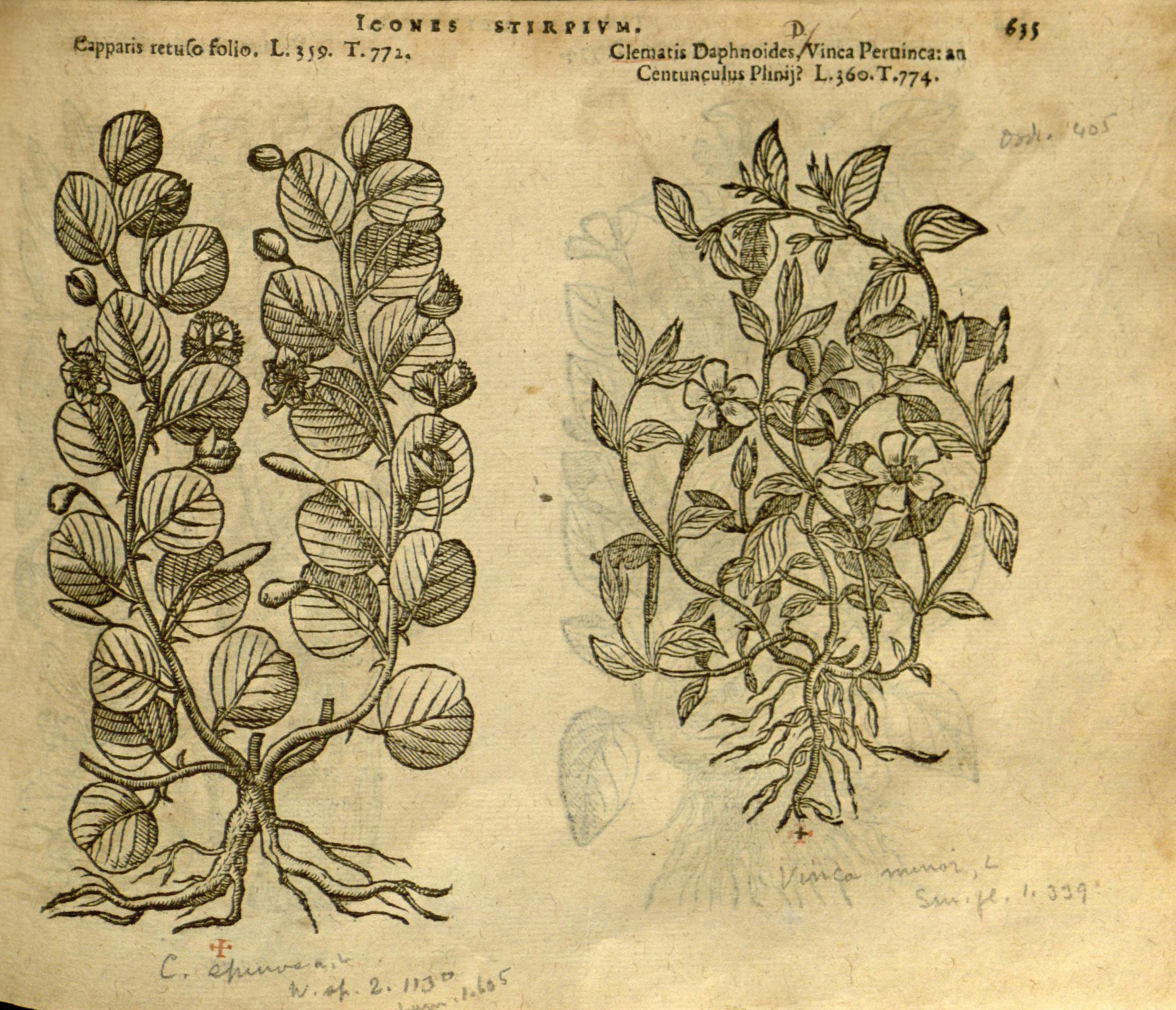 no full size  illustration available (3a)