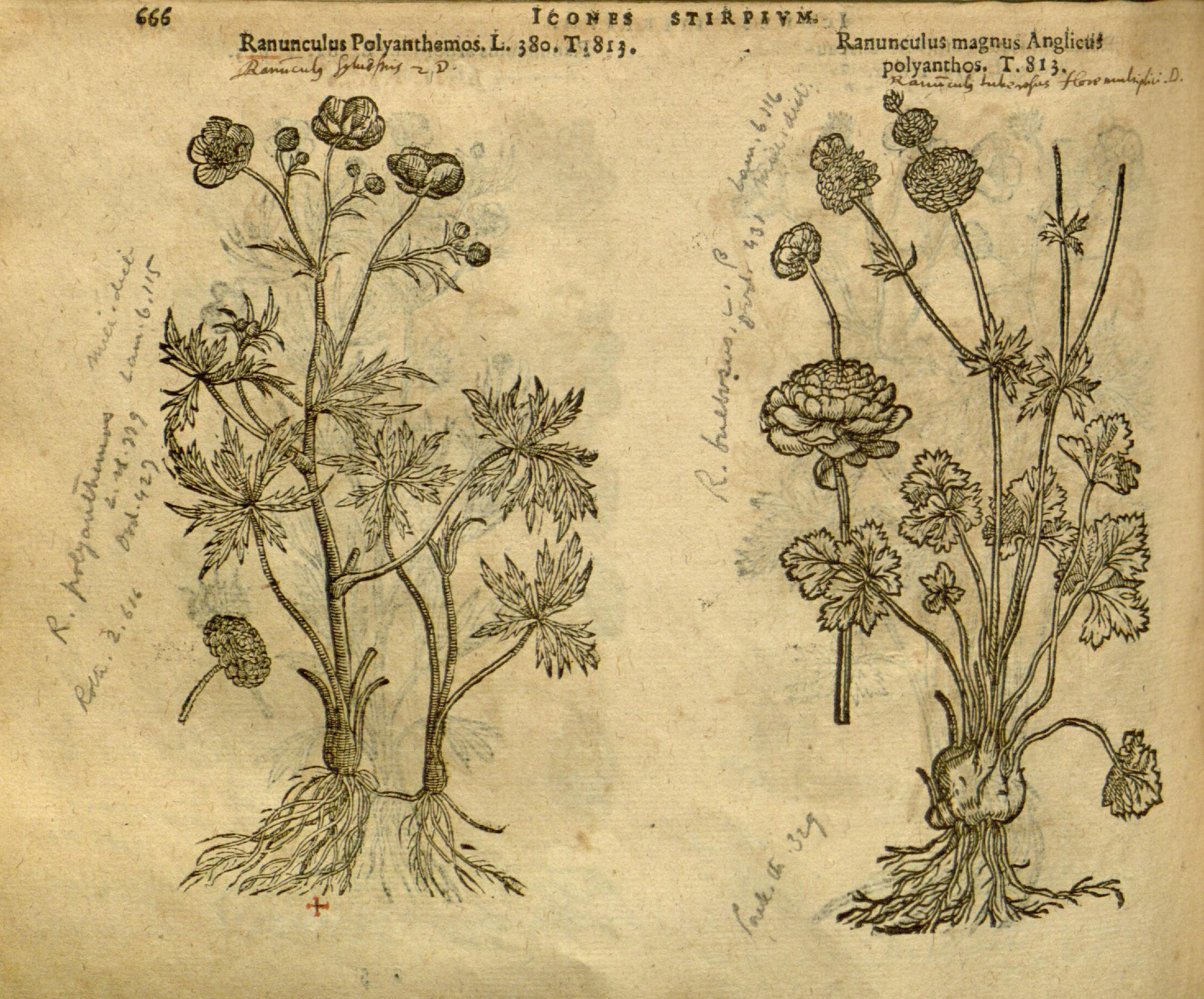 no full size  illustration available (3a)