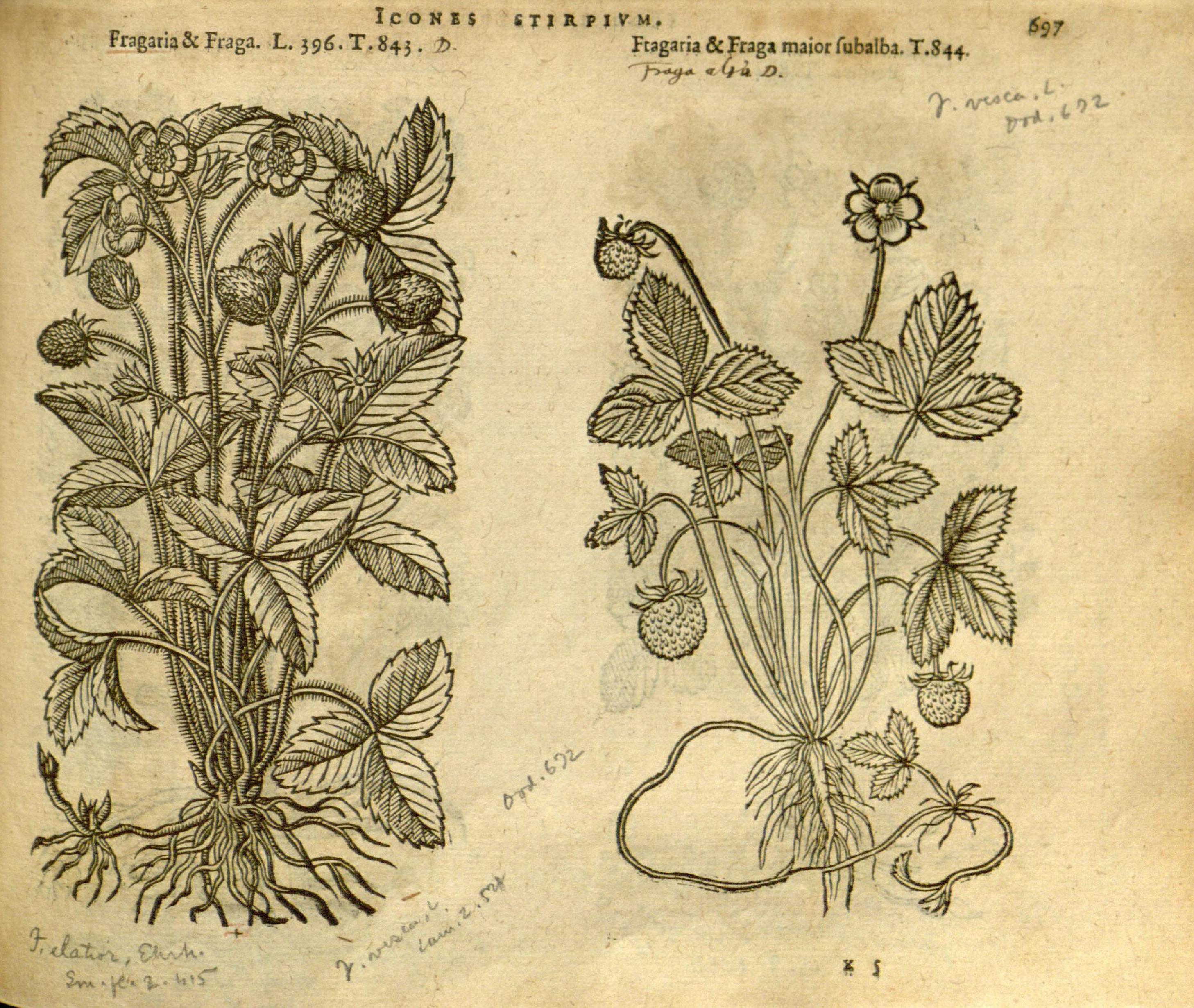 no full size  illustration available (3a)