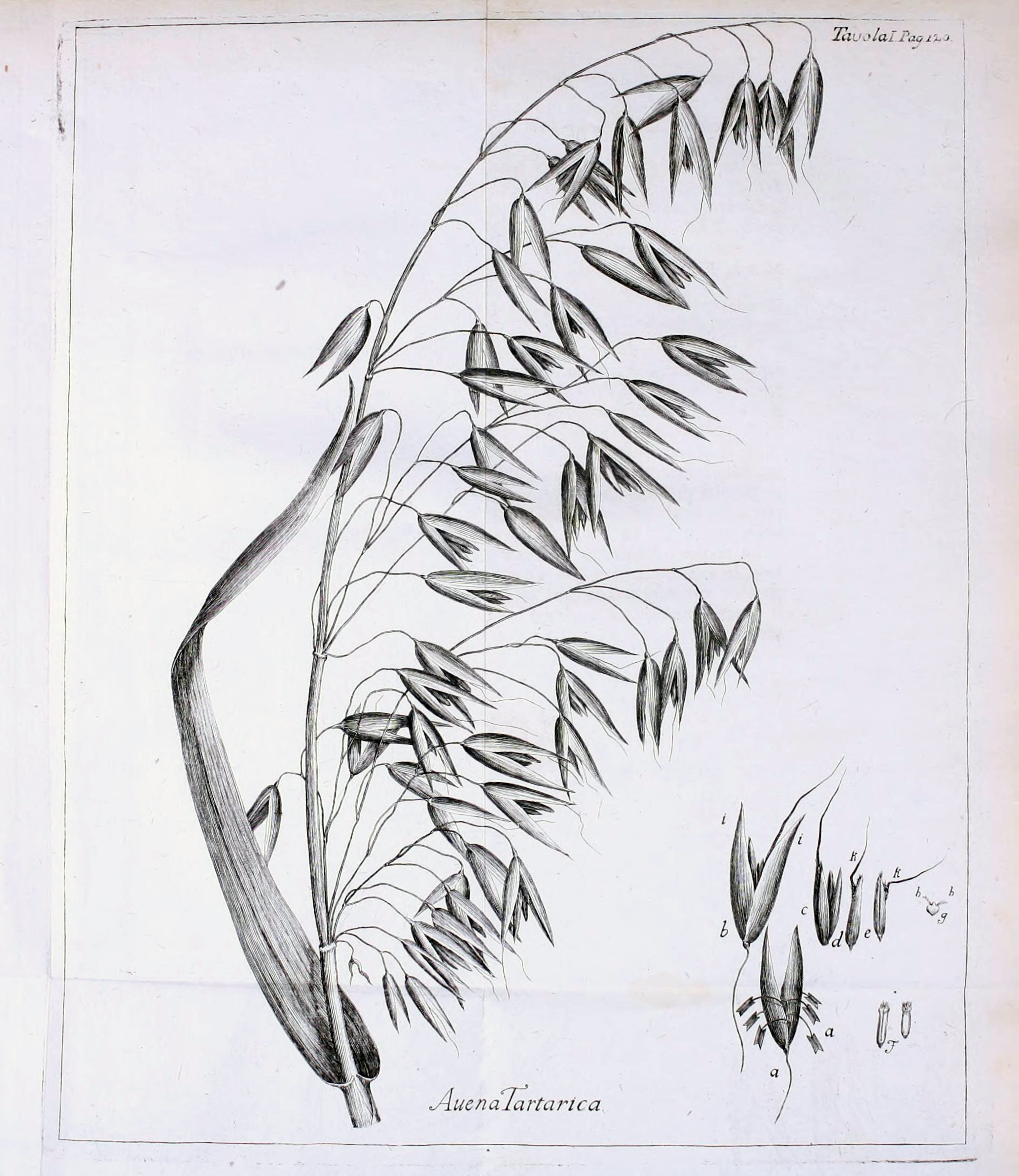 no full size  illustration available (3a)