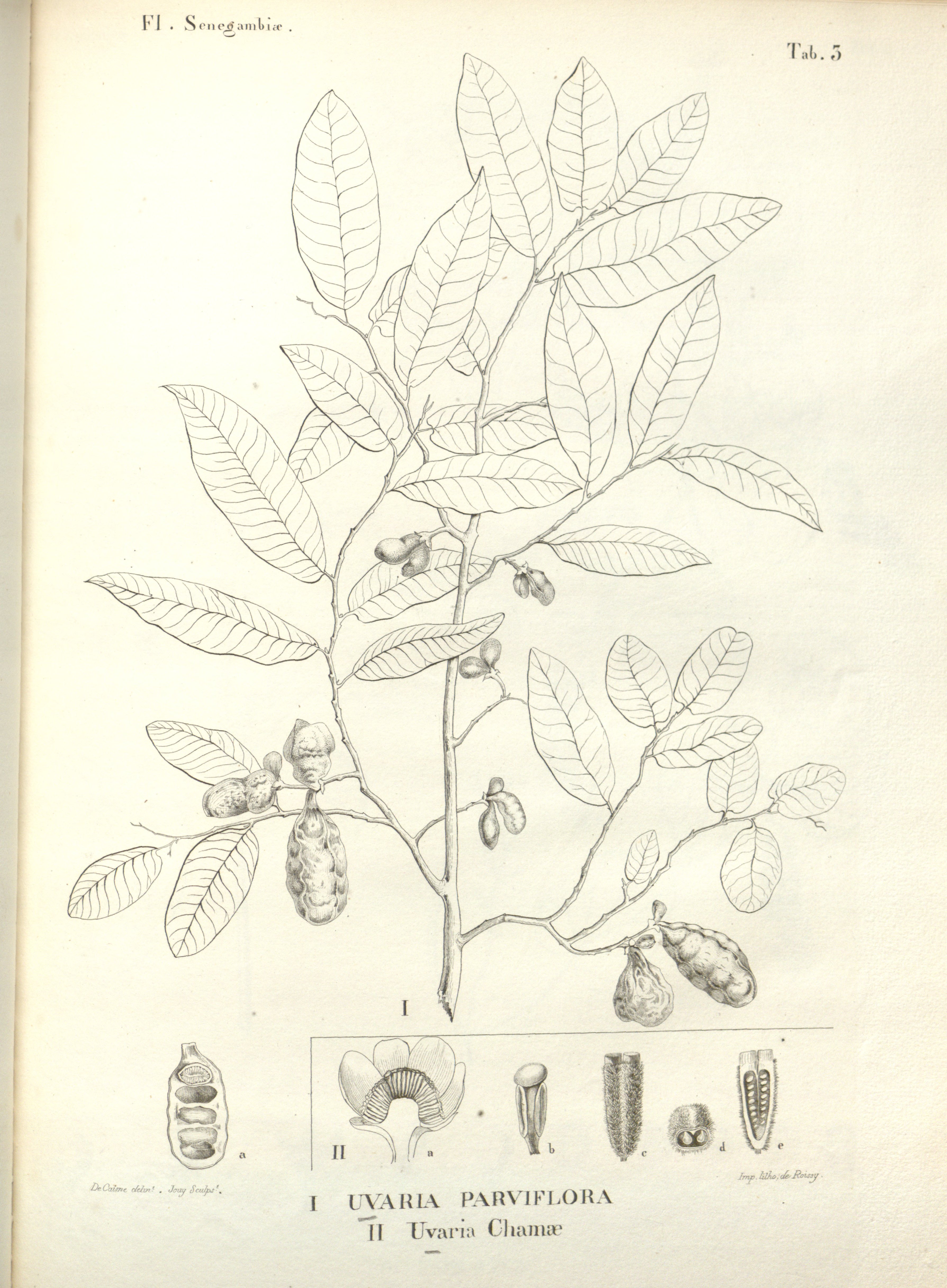 no full size  illustration available (3a)