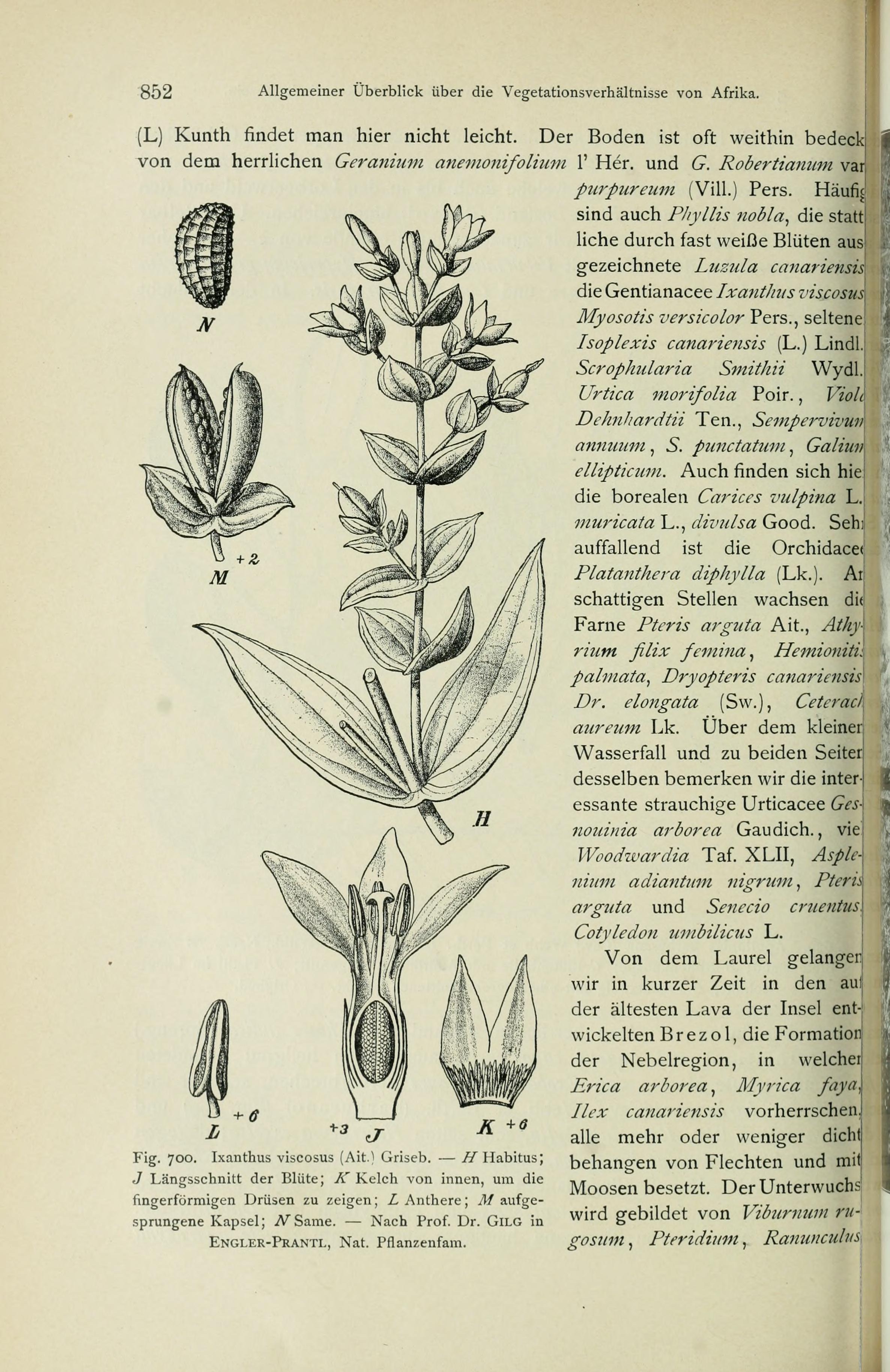 no full size  illustration available (3a)