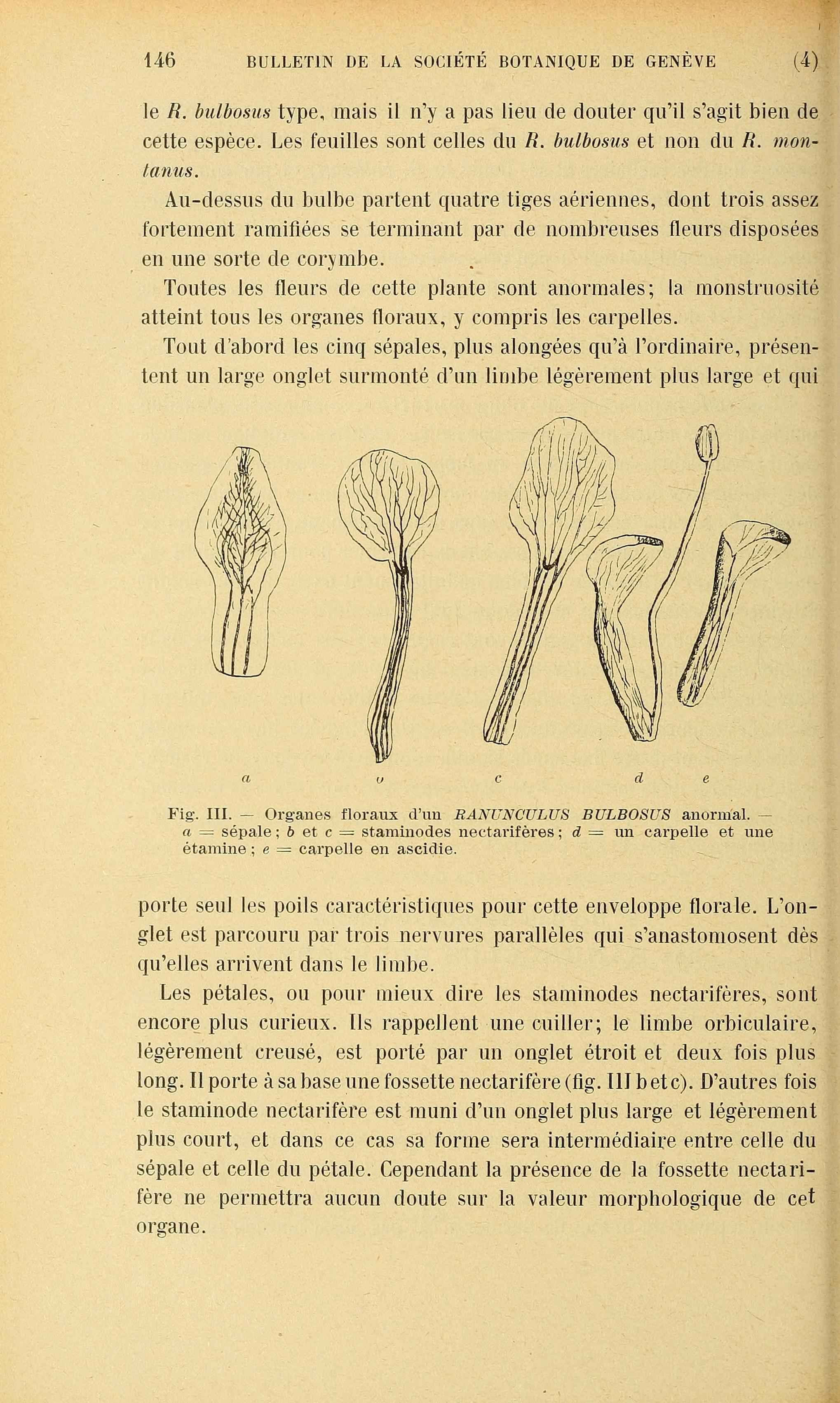 no full size  illustration available (3a)