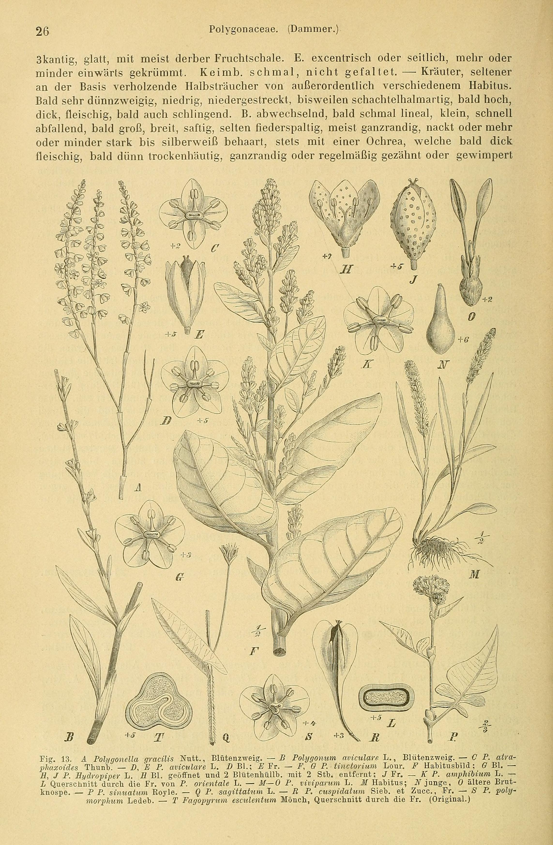 no full size  illustration available (3a)