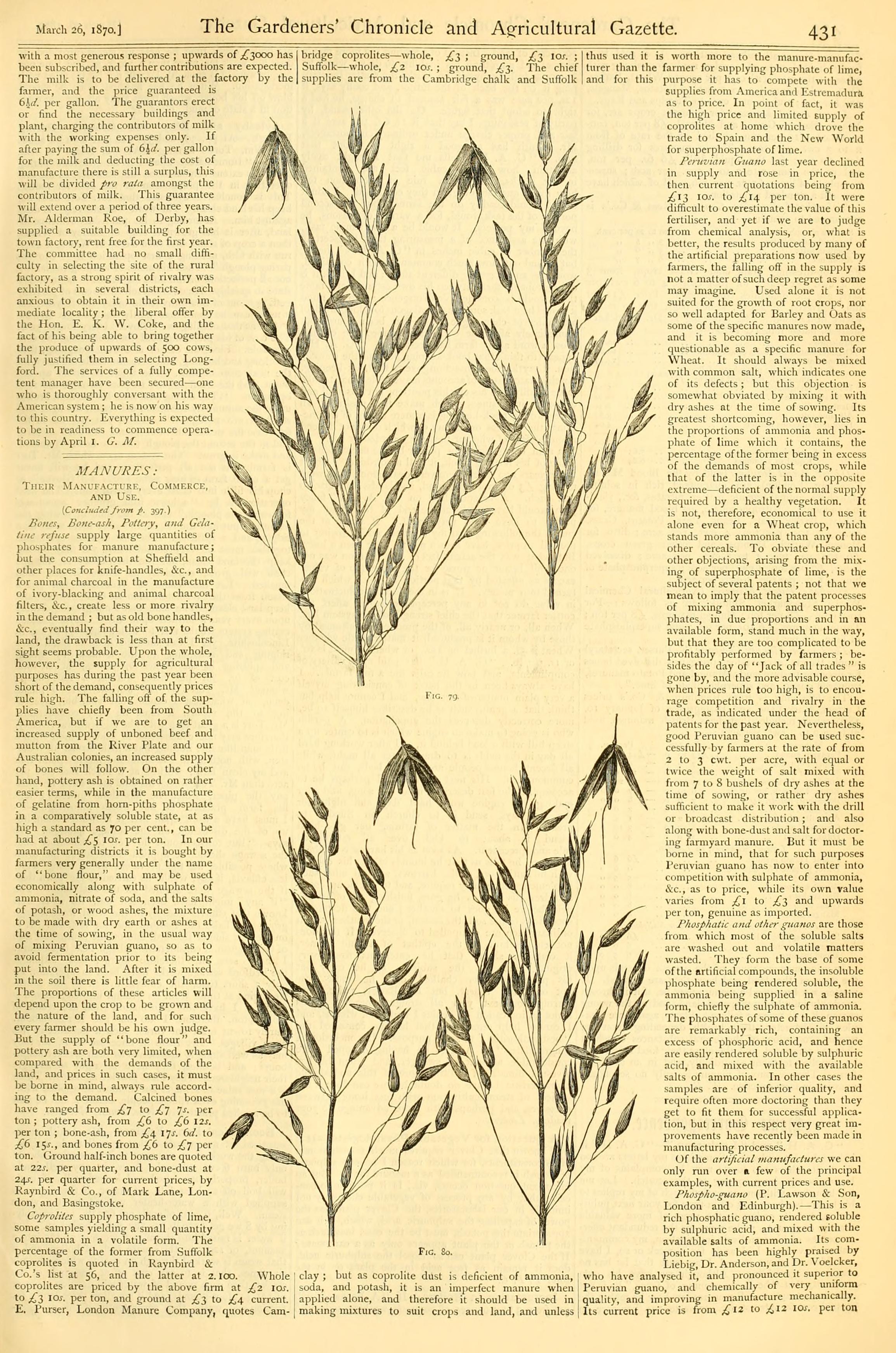 no full size  illustration available (3a)