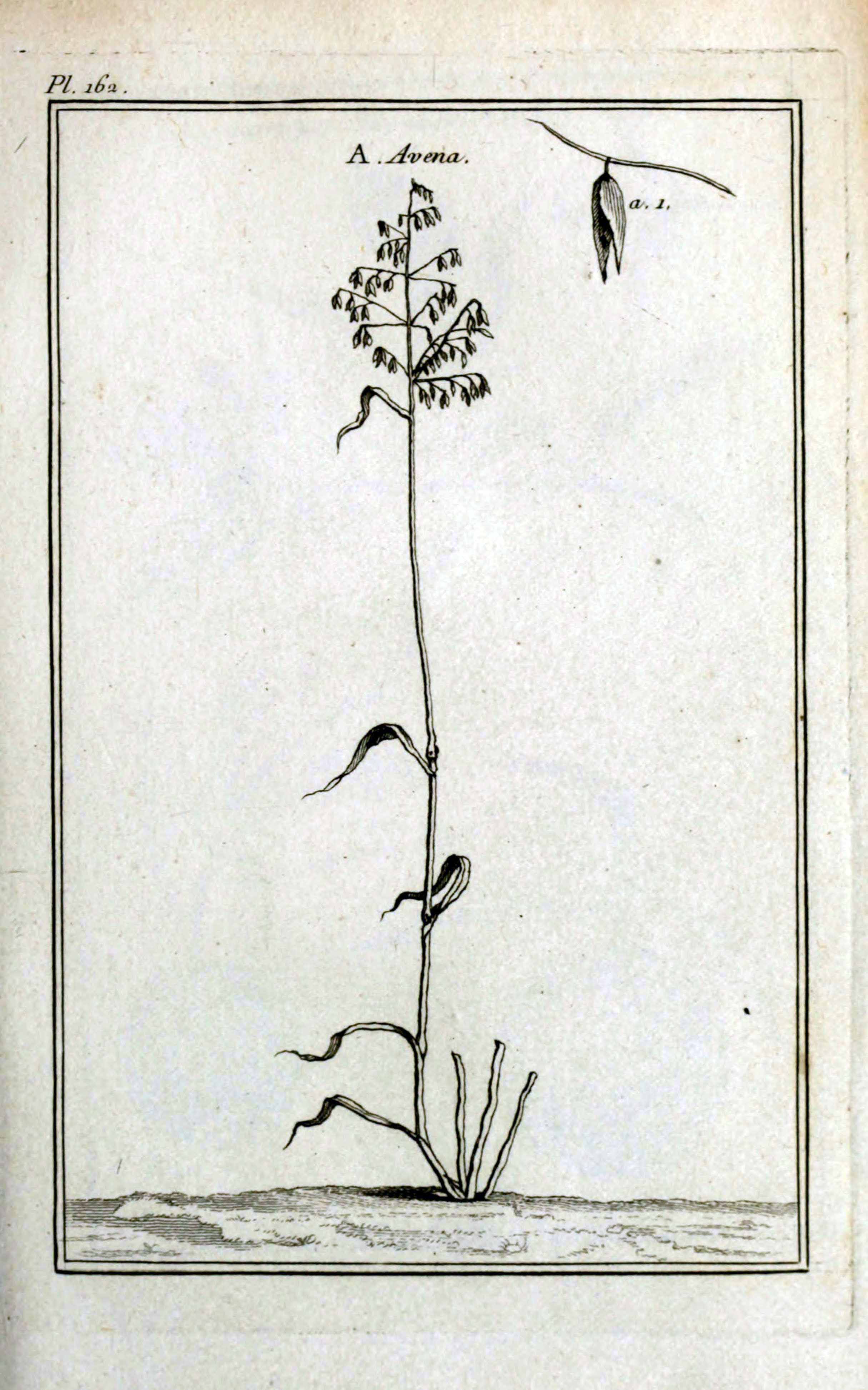 no full size  illustration available (3a)