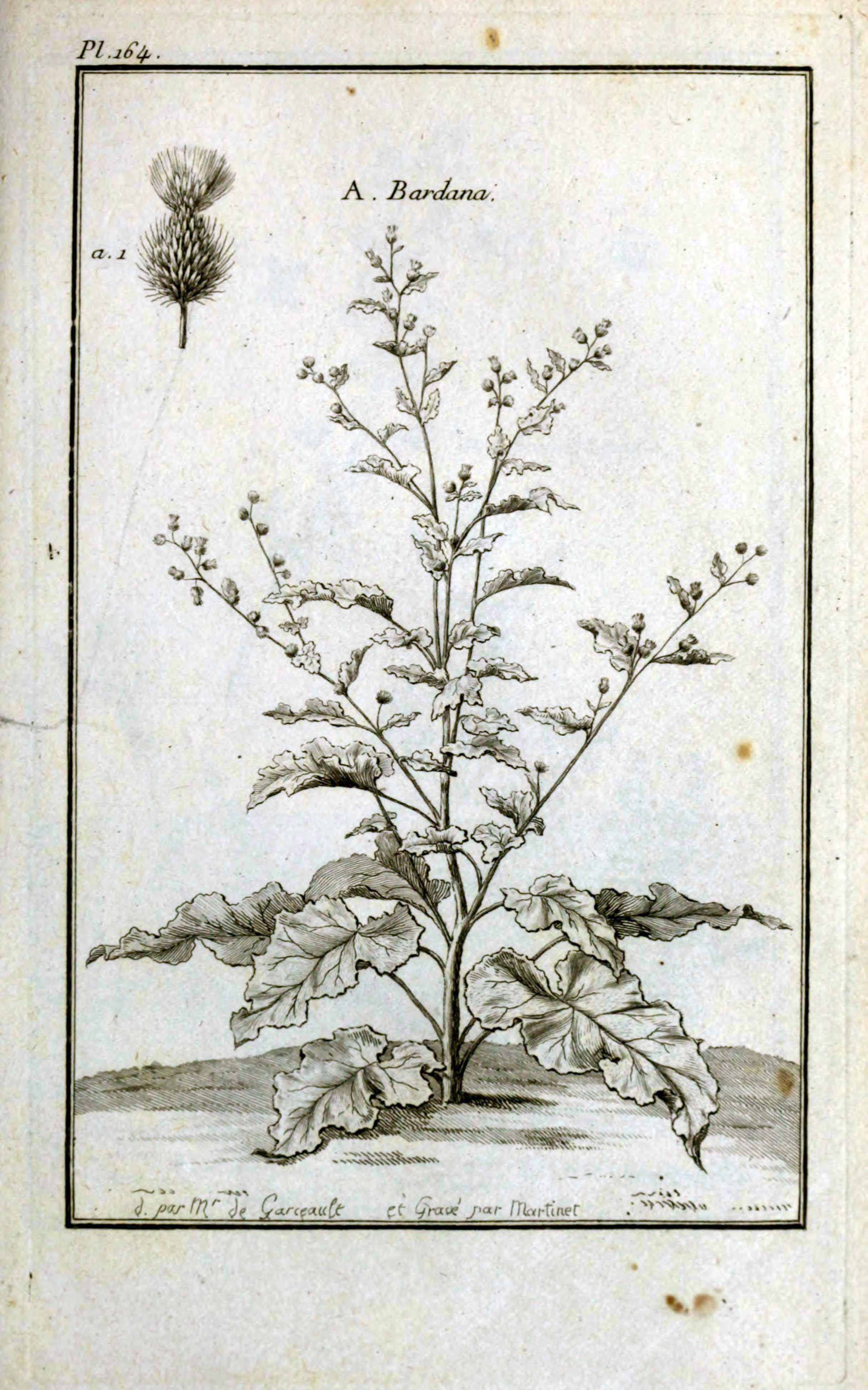 no full size  illustration available (3a)