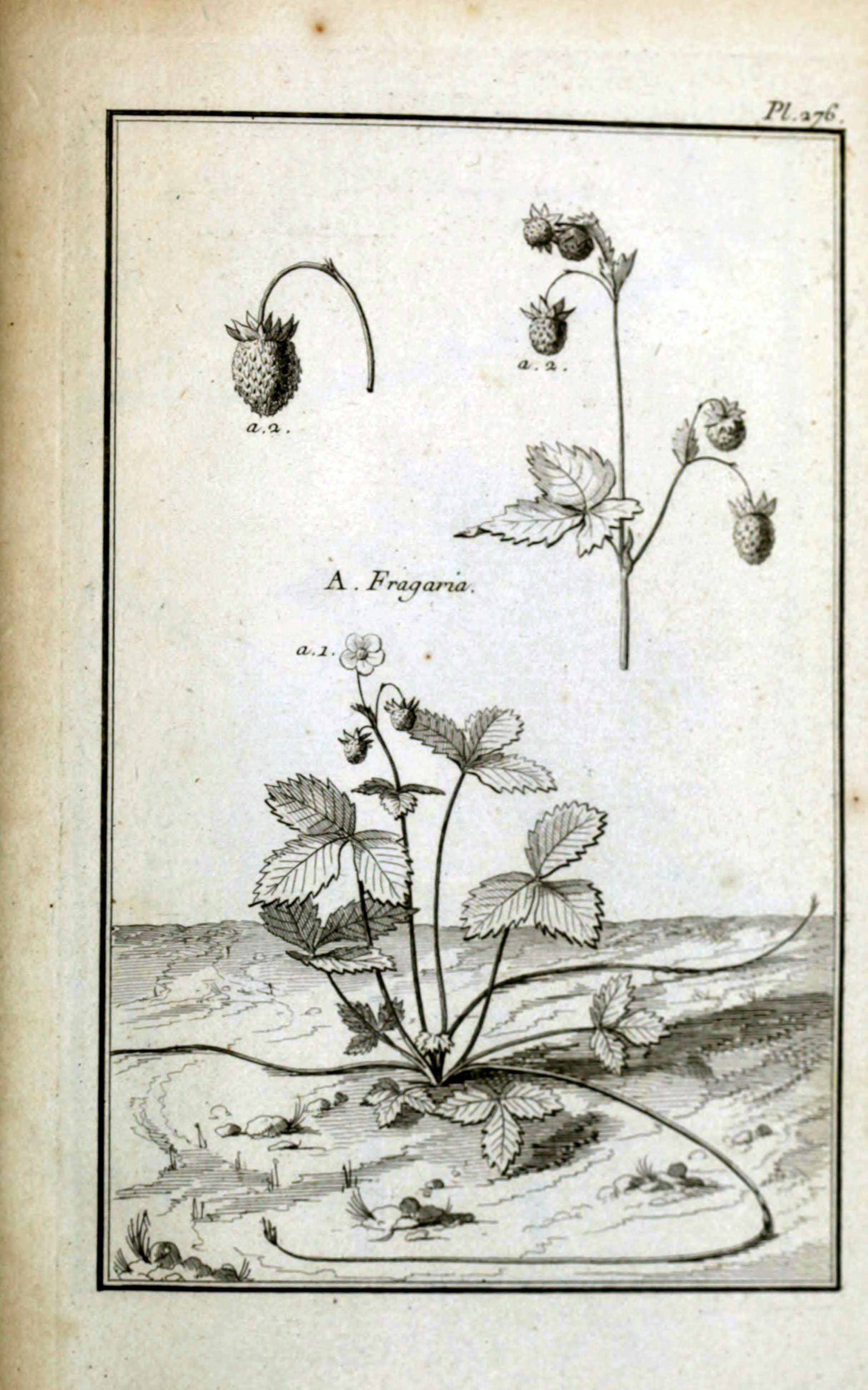 no full size  illustration available (3a)