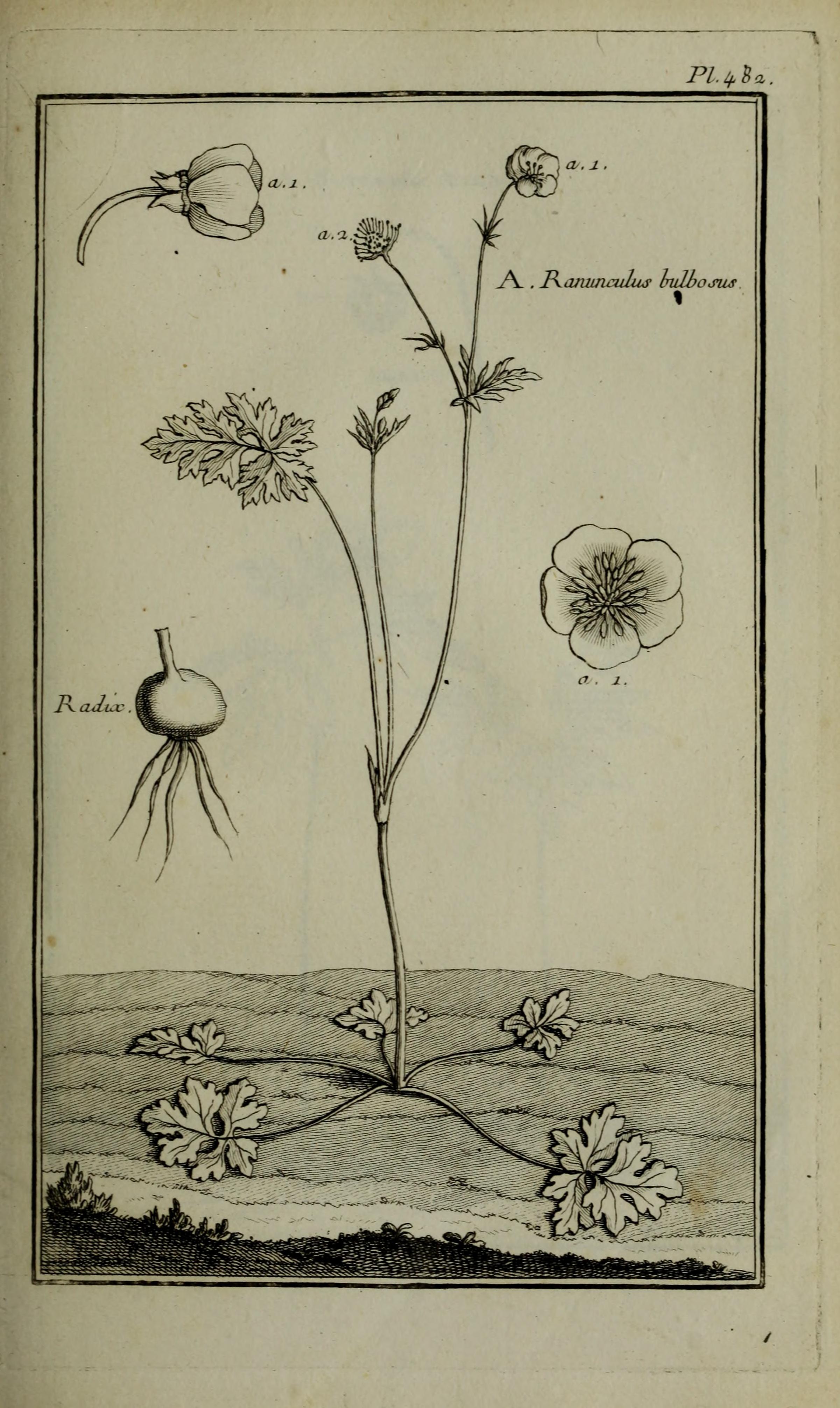 no full size  illustration available (3a)