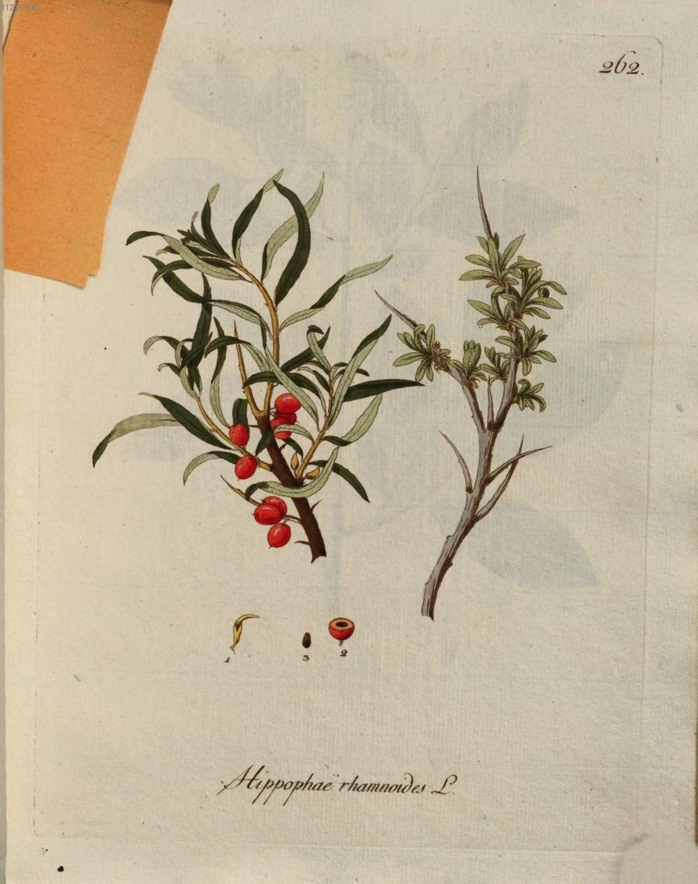 no full size  illustration available (3a)