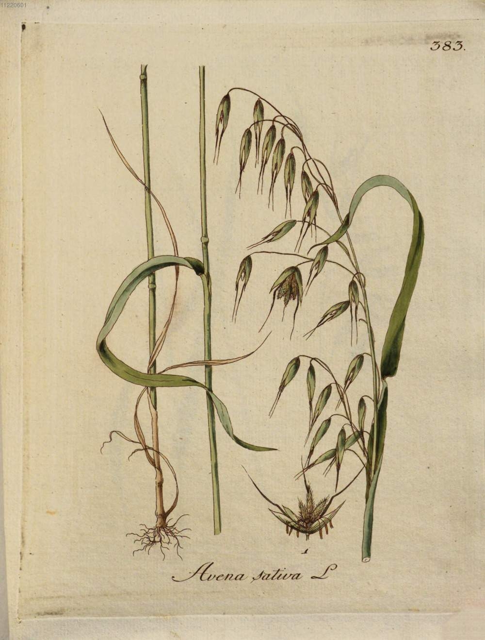 no full size  illustration available (3a)