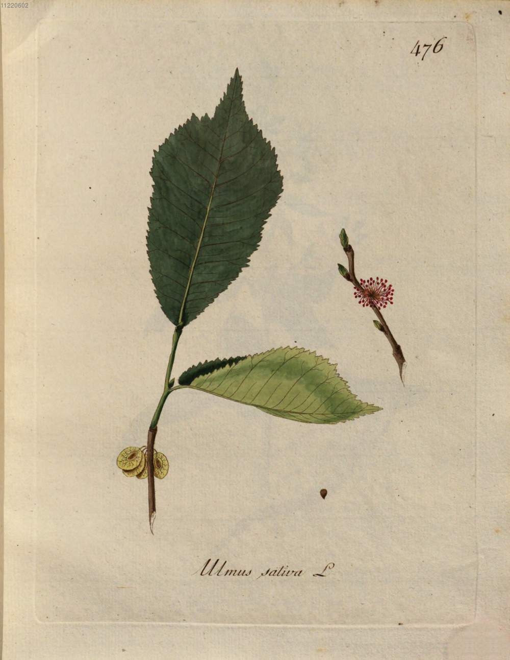 no full size  illustration available (3a)