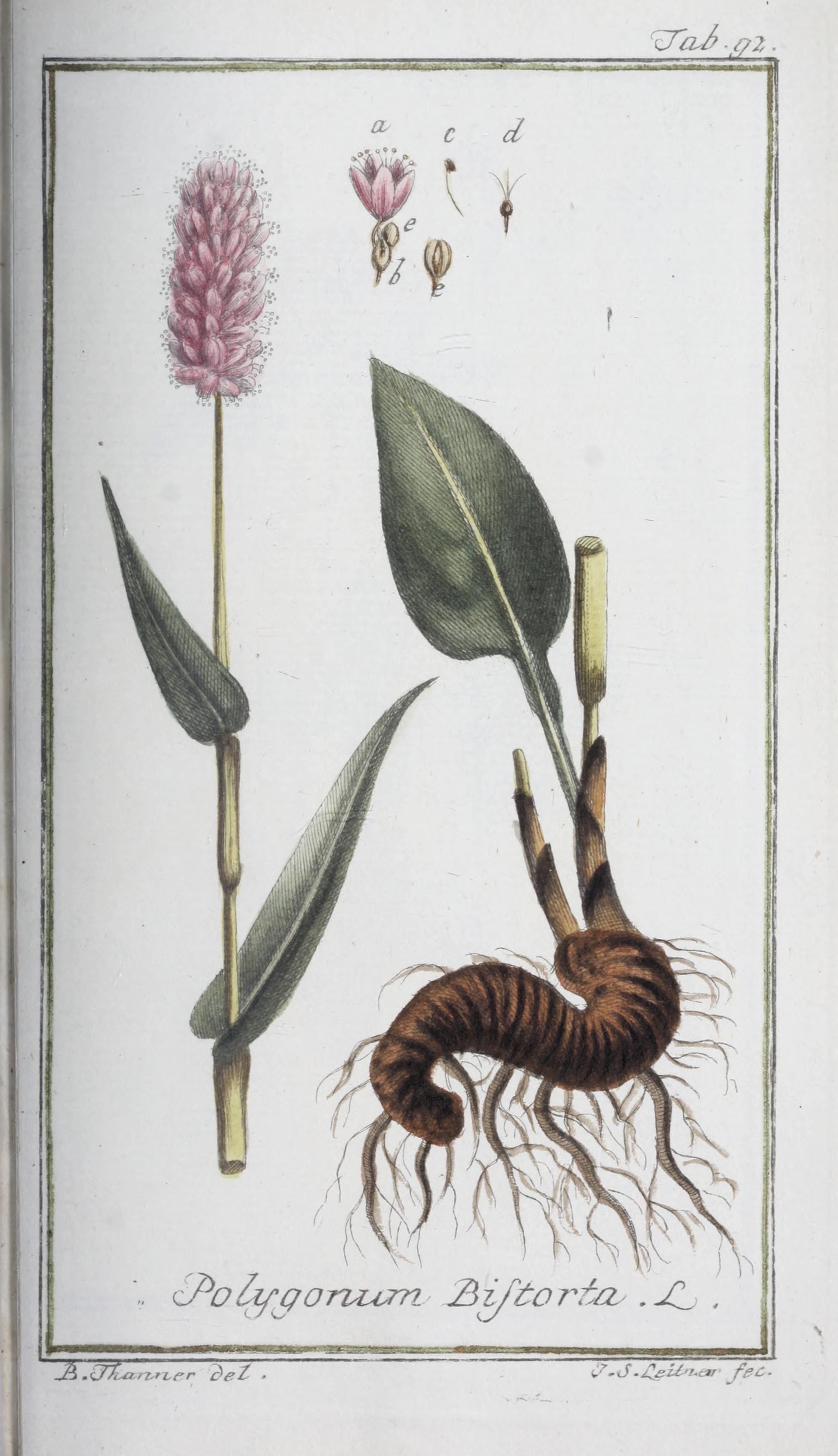 no full size  illustration available (3a)